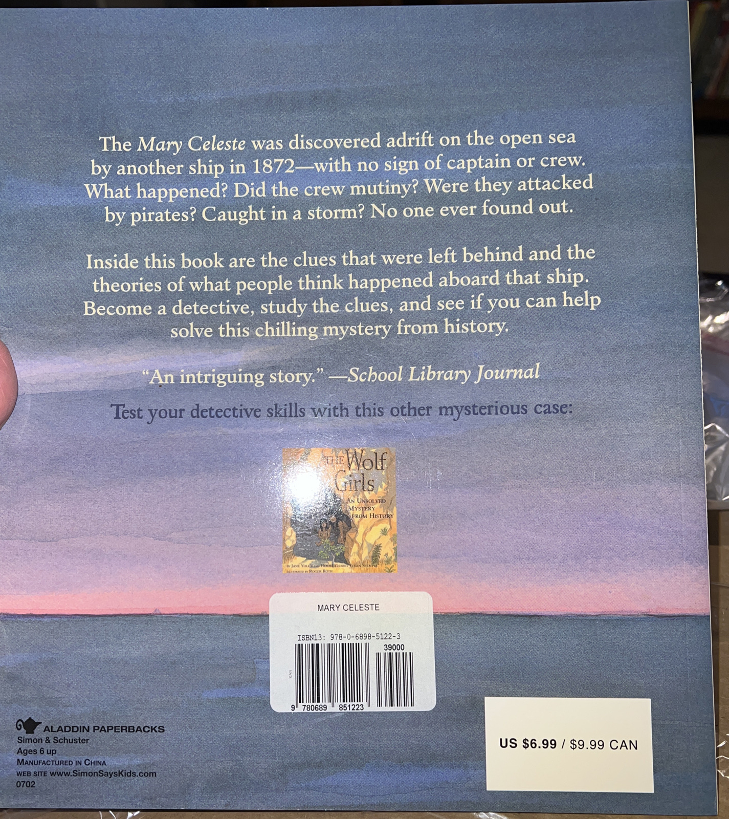 Unsolved Mystery from History: The Mary Celeste NEW Book