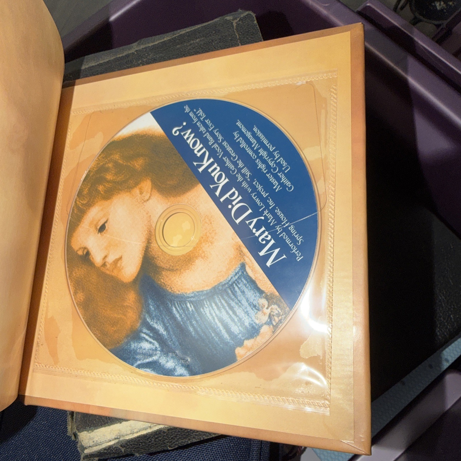 Mary Did You Know? by Lowry Mark (Compact Disc / Hardcover)