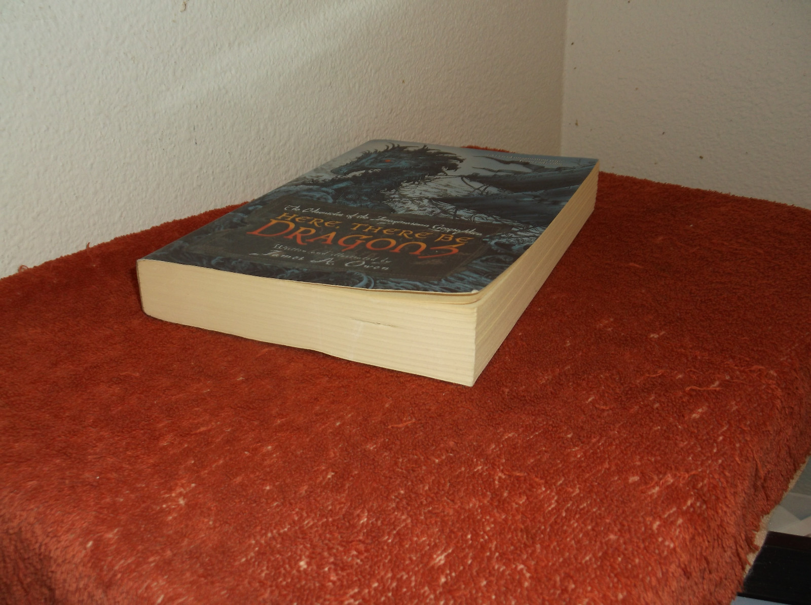 The Chronicles of the Imaginarium Geographica Ser.: Here, There Be Dragons 1 by