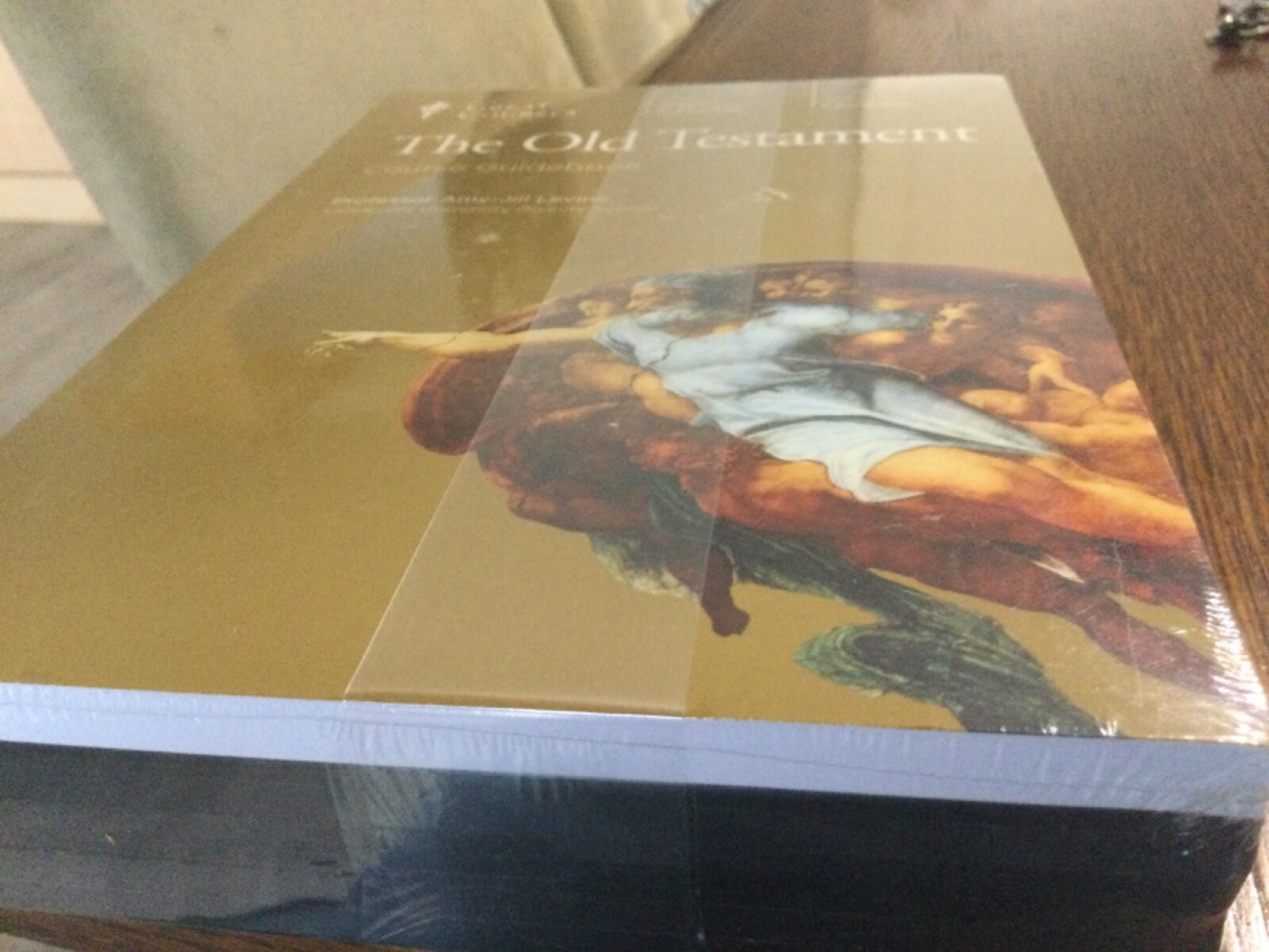 GREAT COURSES THE OLD TESTEMENT..PROF.AMY-JILL LEVINE..12CD AND GUIDEBOOK