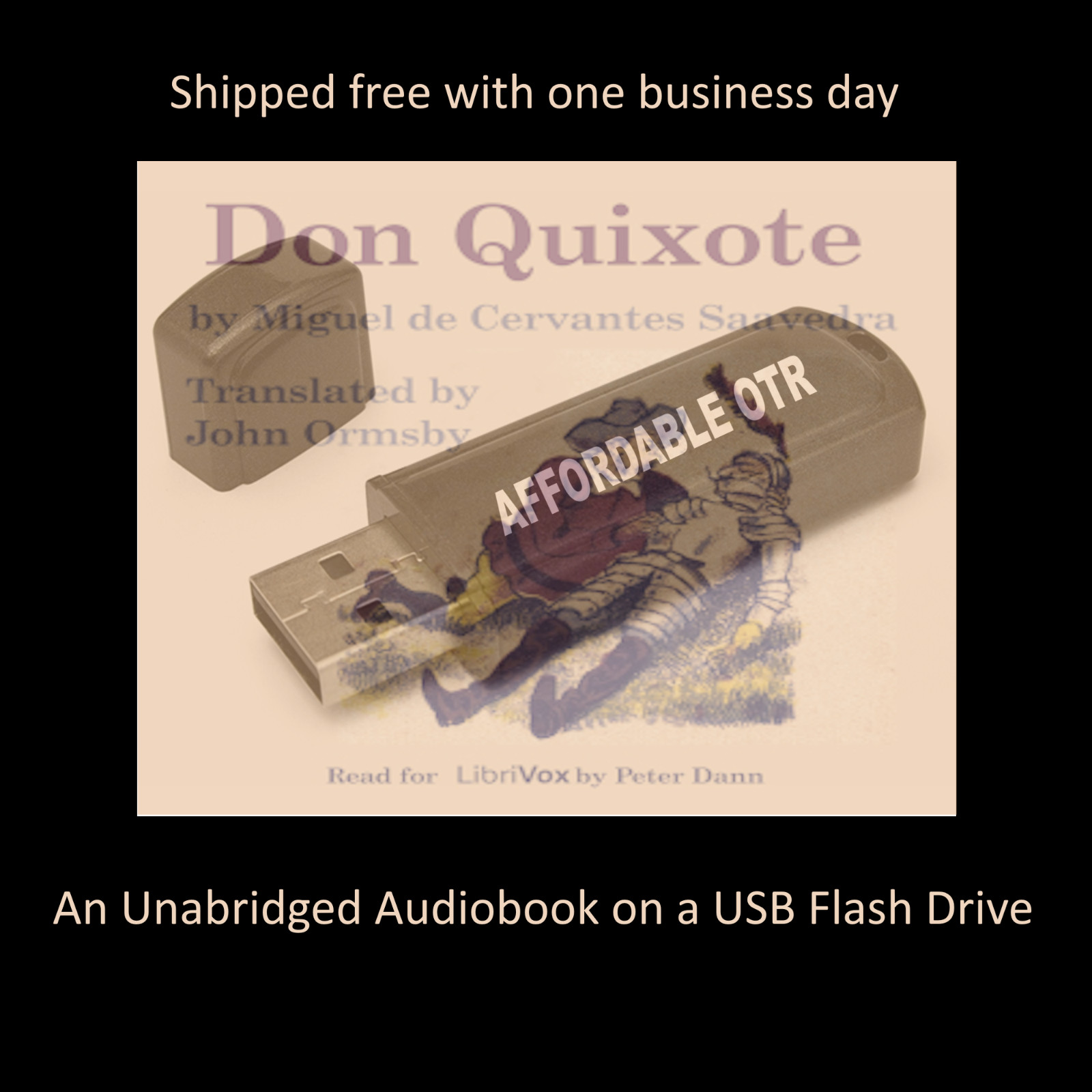 Don Quixote Miguel de Cervantes Saavedra Audiobook on USB Flash Drive
