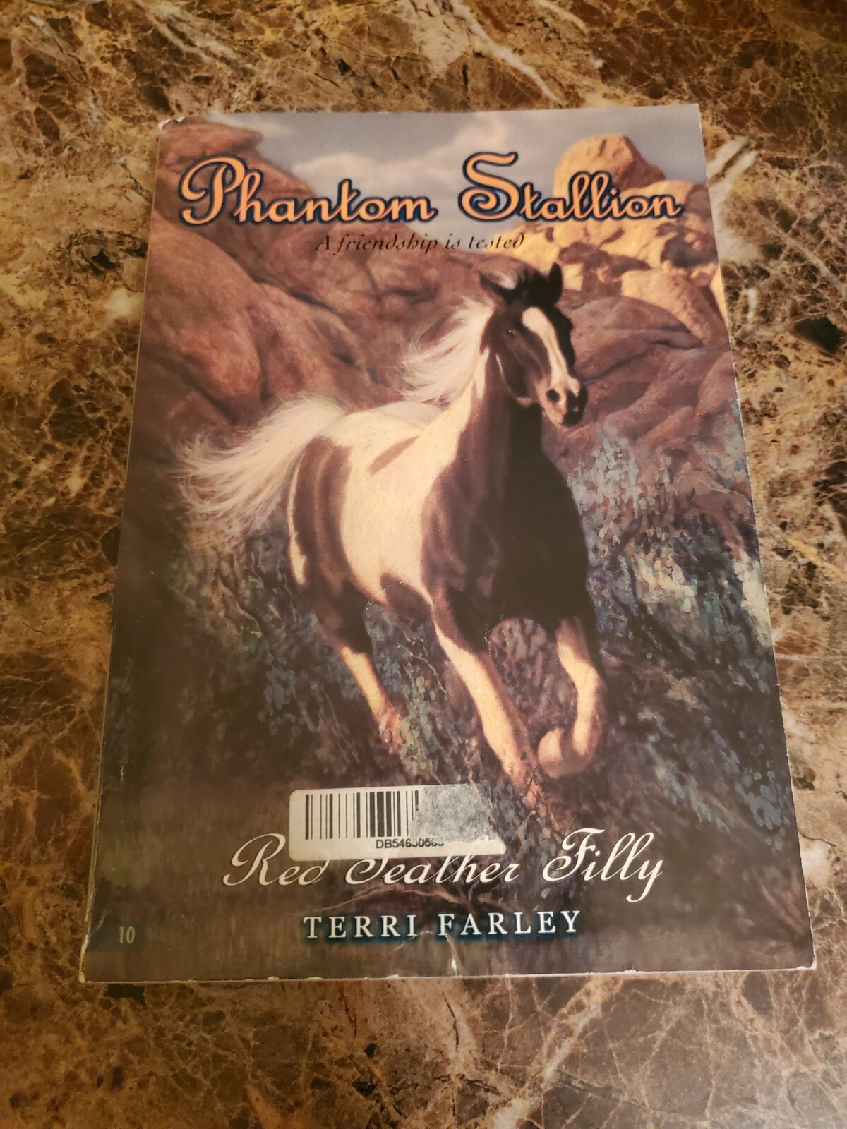 Phantom Stallion Red Feather Filly Terri Farley Book #10