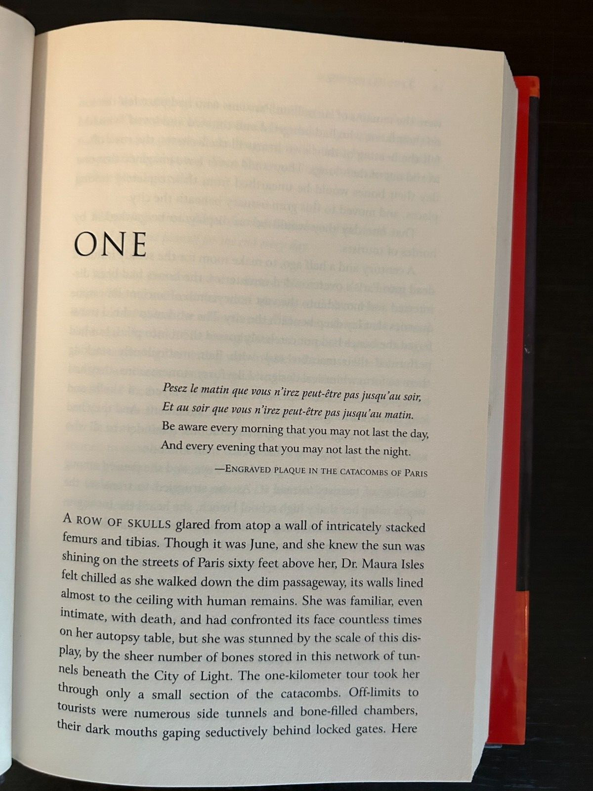 Body Double — by Tess Gerritsen