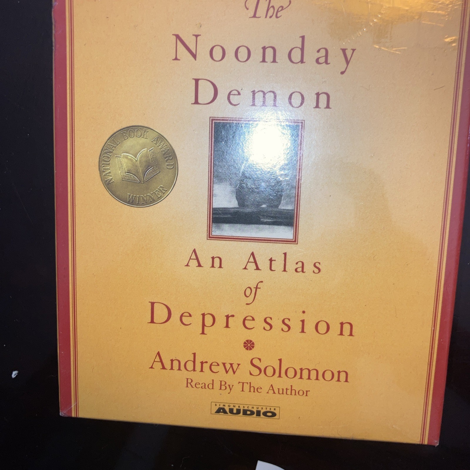 Noonday Demon : An Atlas of Depression by Andrew Solomon Audiobook Compact Disc)