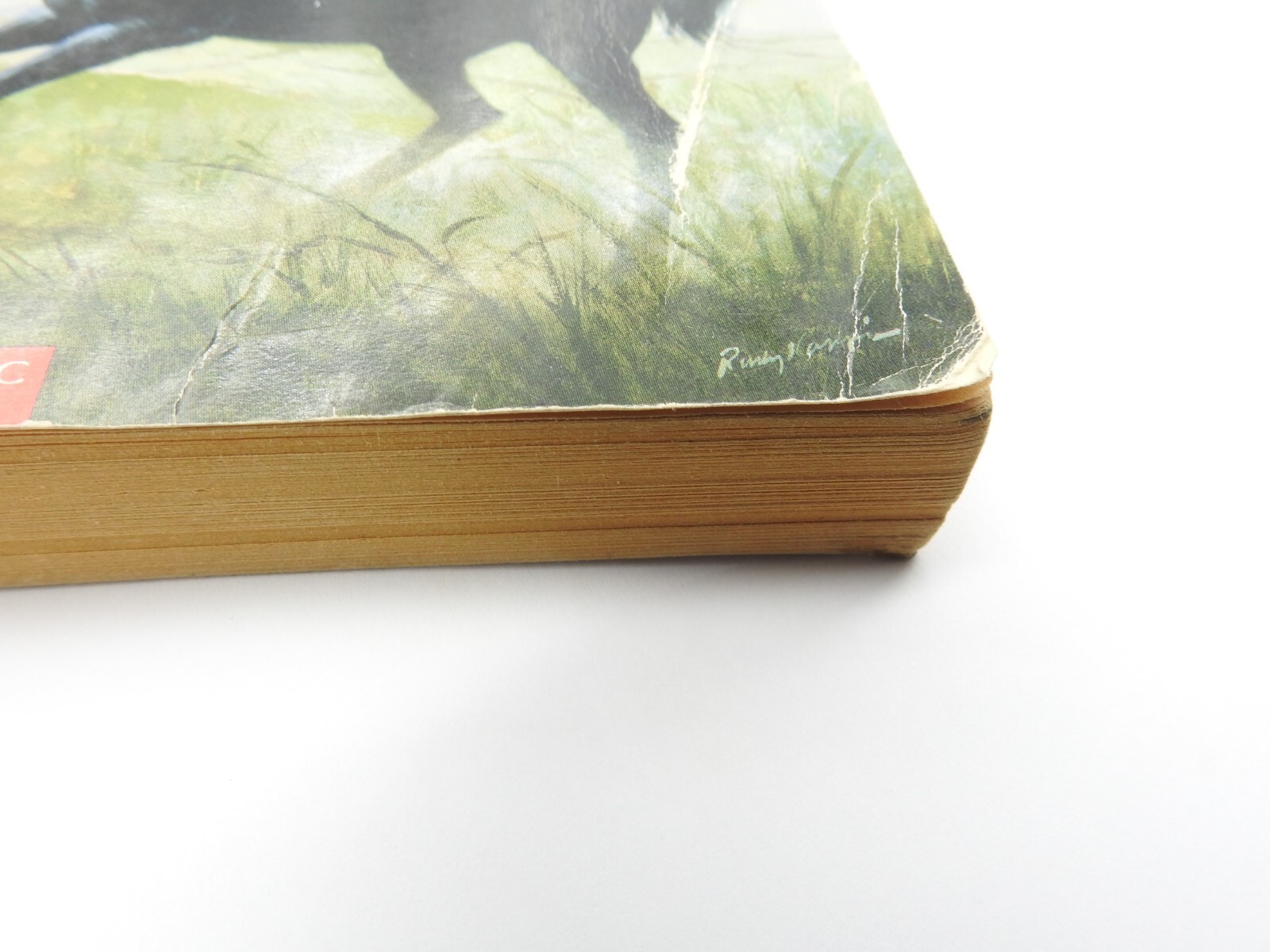 Apple Classics Black Beauty By Anna Sewell Paperback