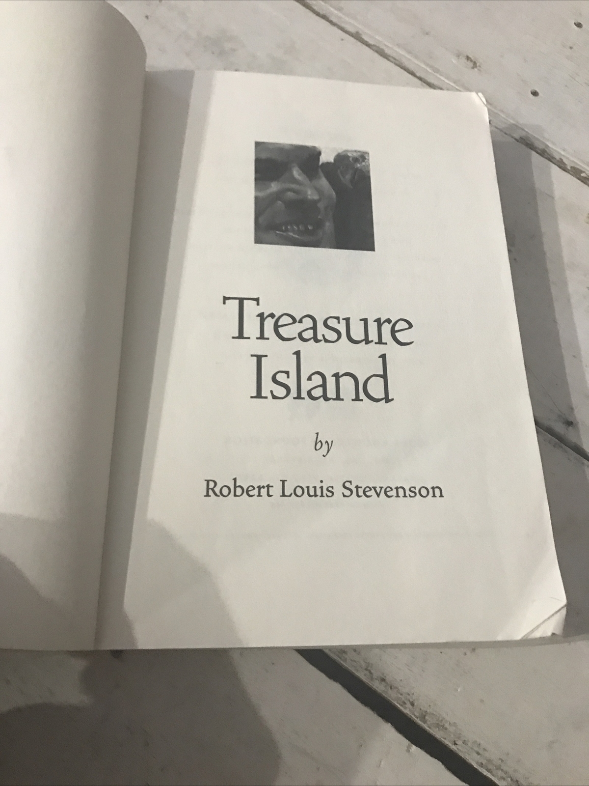 Treasure Island Robert Louis Stevenson Paperback Adventure Classic