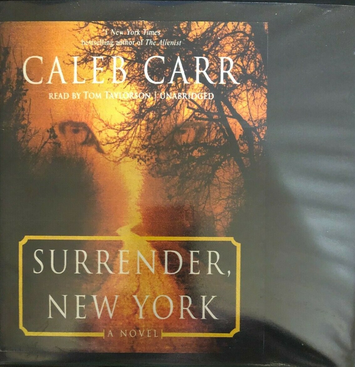 Surrender, New York by Caleb Carr (2016, Audiobook, Unabridged edition)