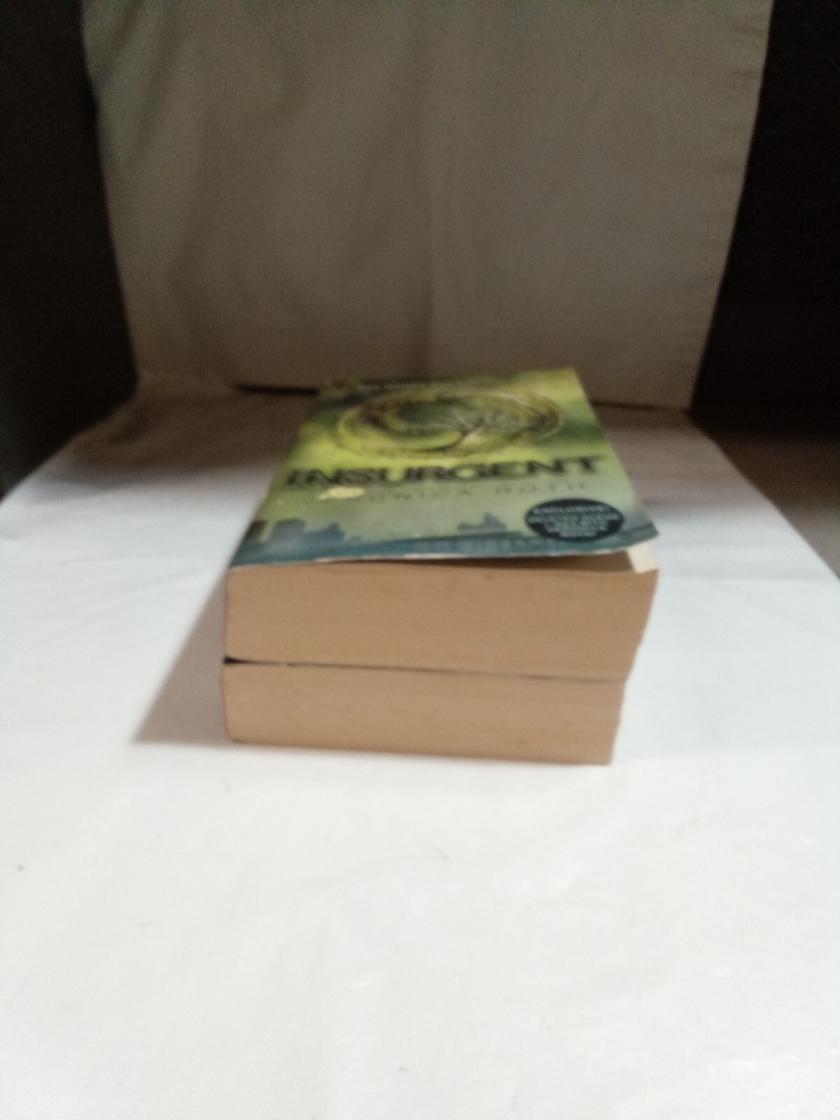 Insurgent & Divergent- Paperback By Roth, Veronica — GOOD