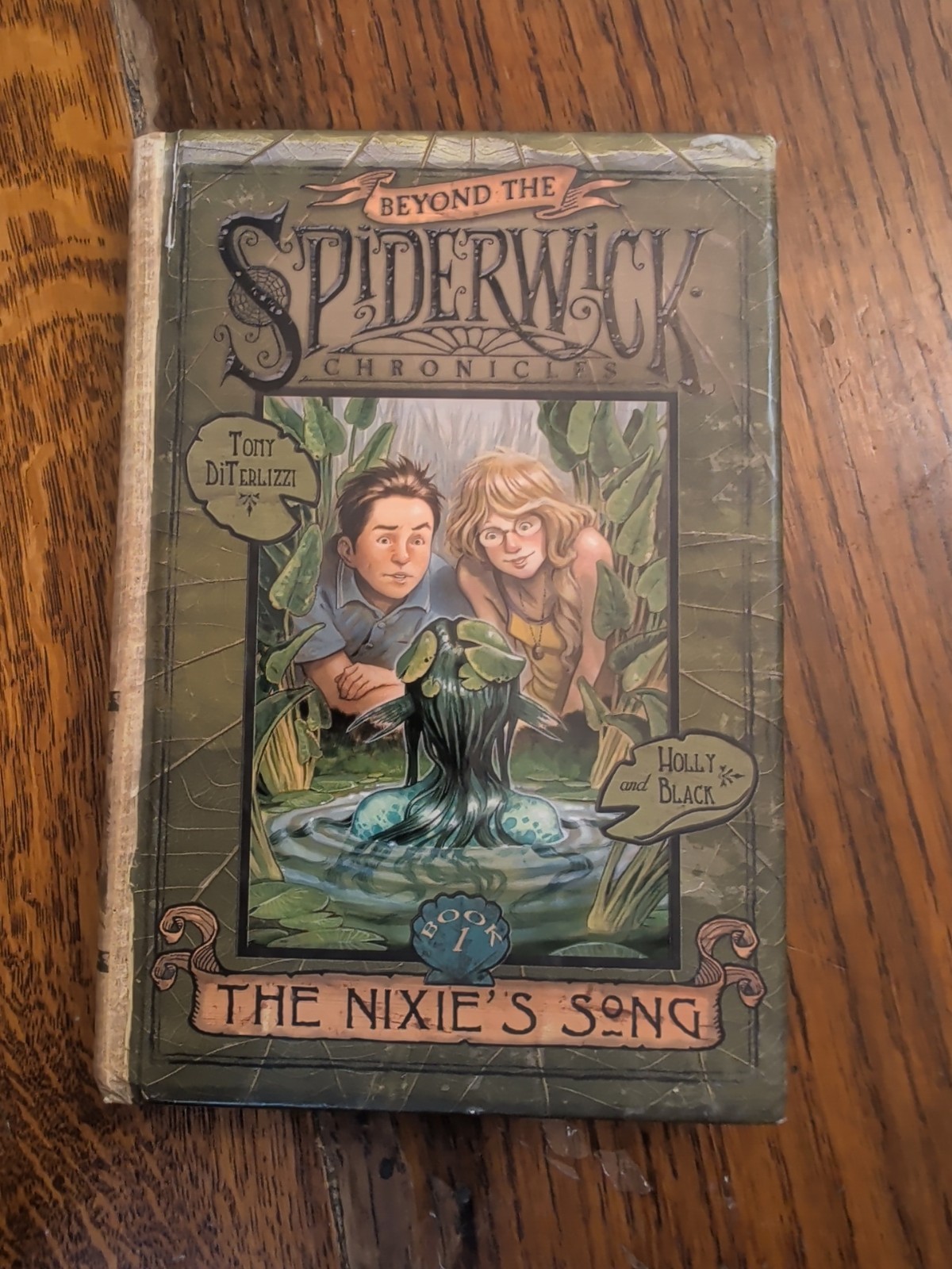 Beyond the Spiderwick Chronicles Ser.: The Nixie’s Song by Tony DiTerlizzi