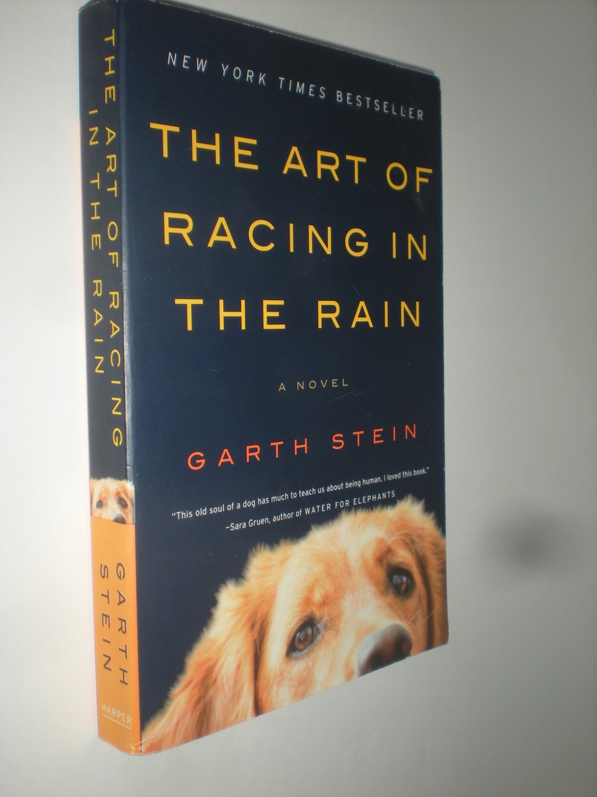 The Art of Racing in the Rain: A Novel by Garth Stein (English) Paperback Book