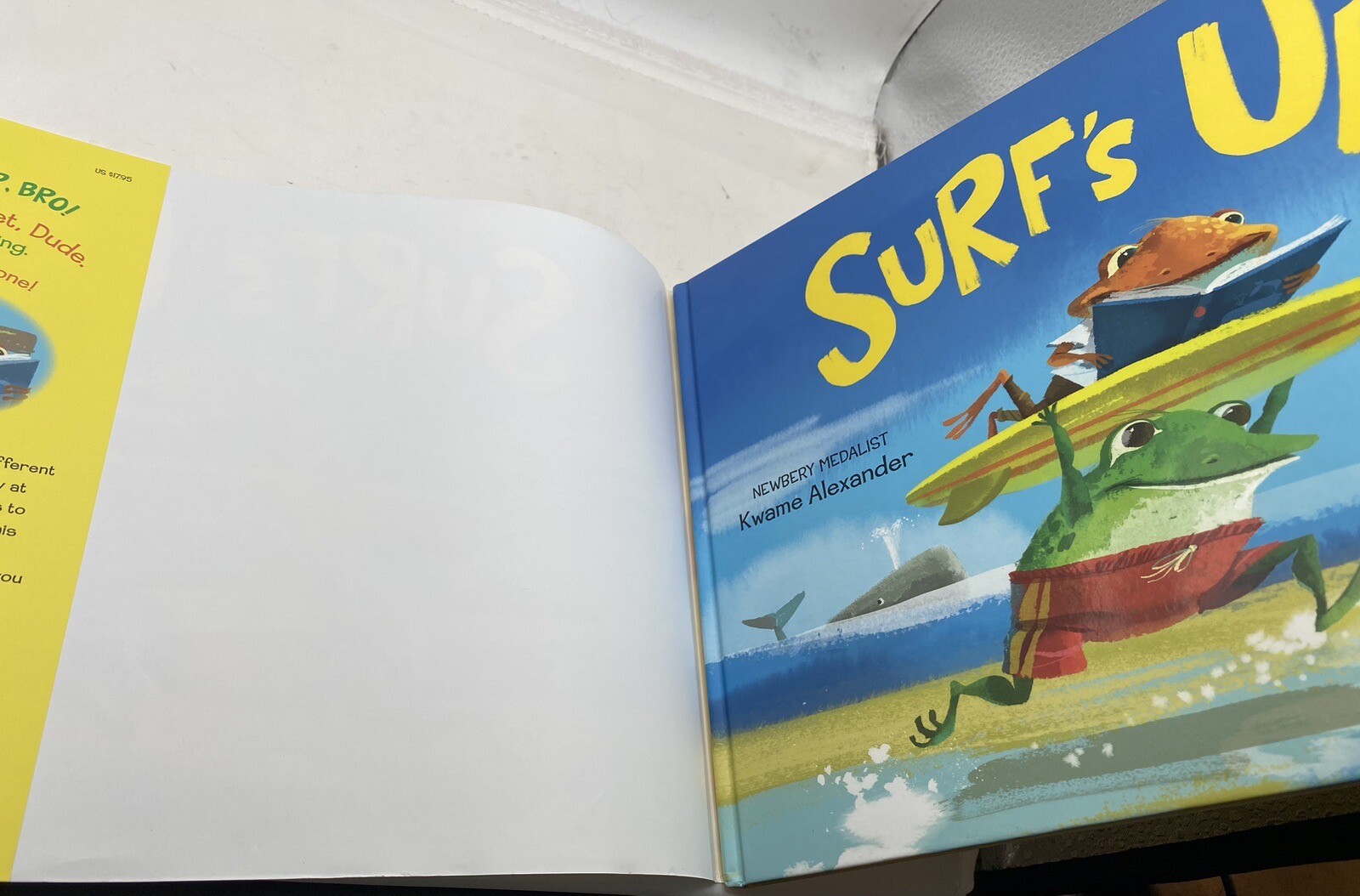 786 Surf’s Up Alexander, Kwame hardcover Used — Very Good SIGNED