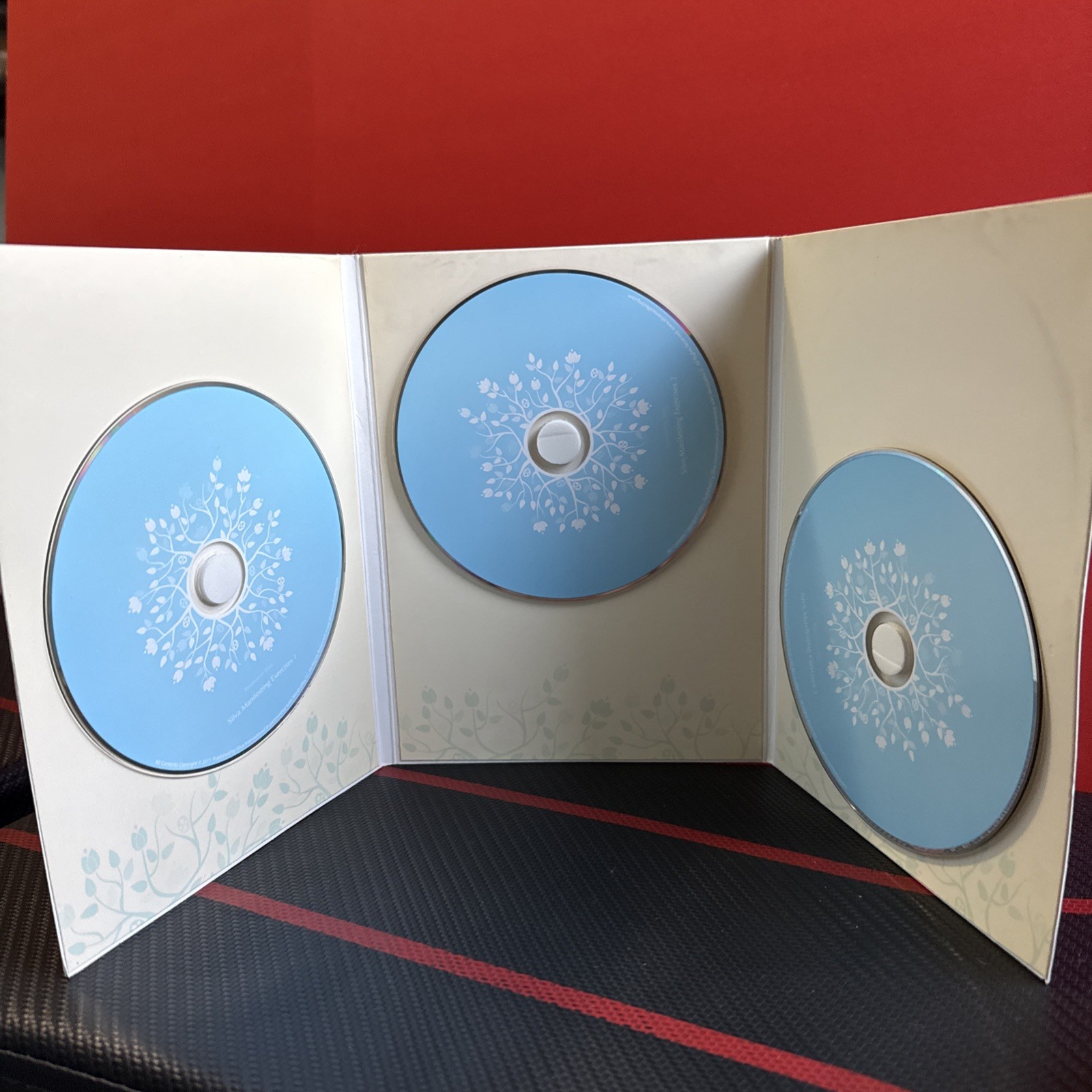 Silva Life System 11 CDs -Silva Method Lauren Silva Quesada Mindvalley Missing 2