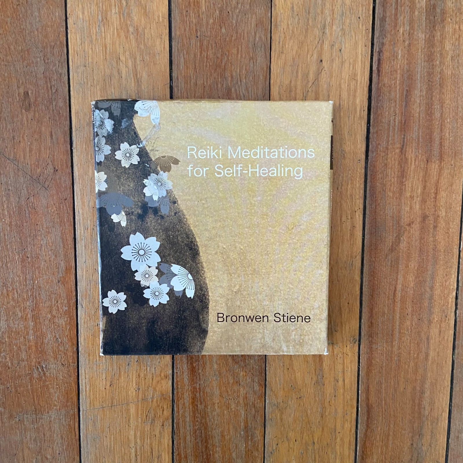Reiki Meditations for Self-Healing 2 CD Audio Book Bronwen Stiene 2008