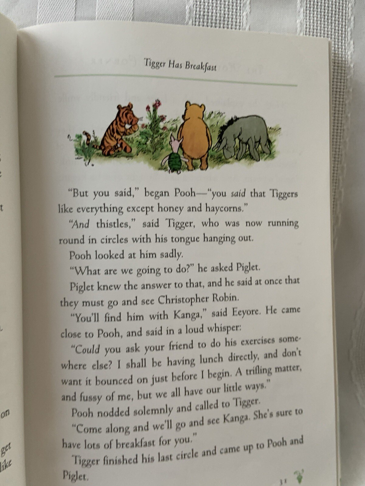 The House At Pooh Corner Color deluxe Edition (Winnie-the-Pooh) — HB DJ Mylar