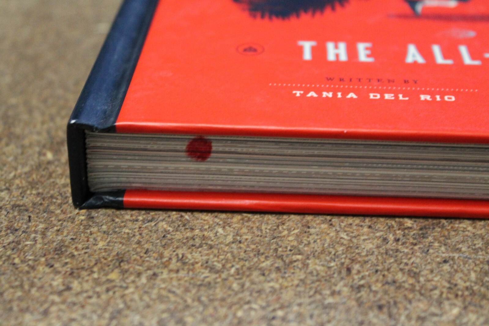 Warren the 13th and the All-Seeing Eye, hardcover by Tania Del Rio NEW