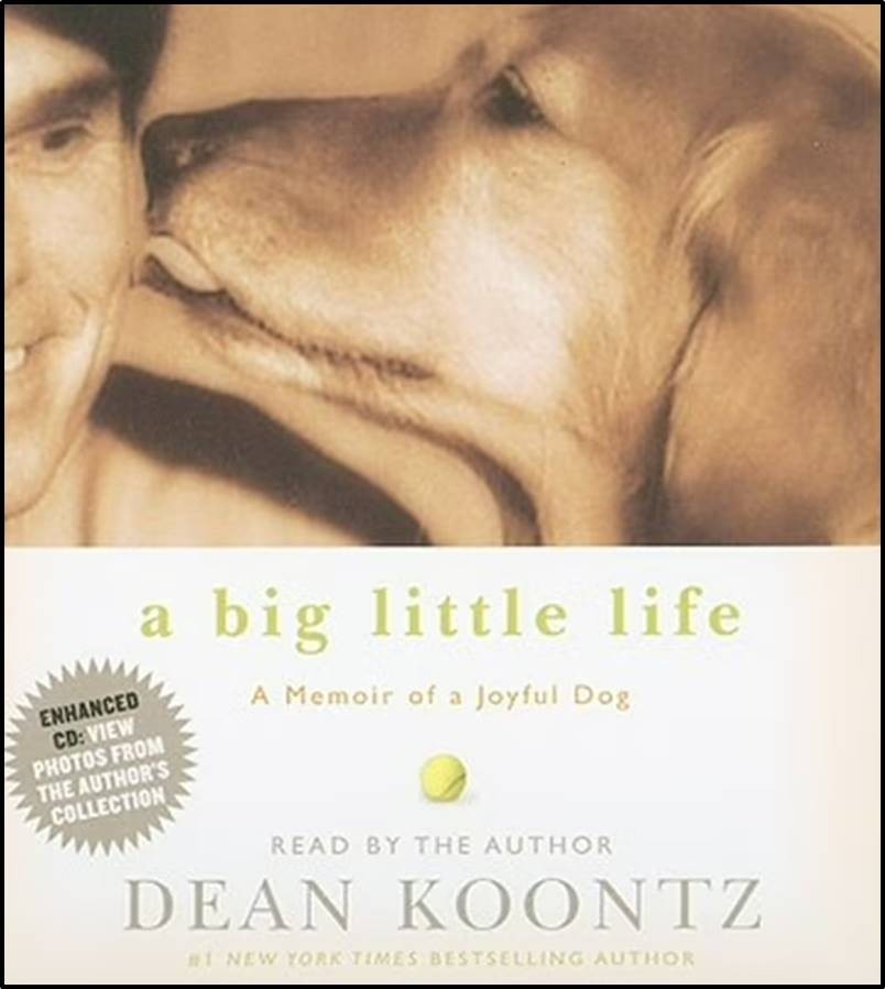 A Big Little Life (Dean Koontz) — Abridged Audiobook on 4 CDs — Trusted Seller
