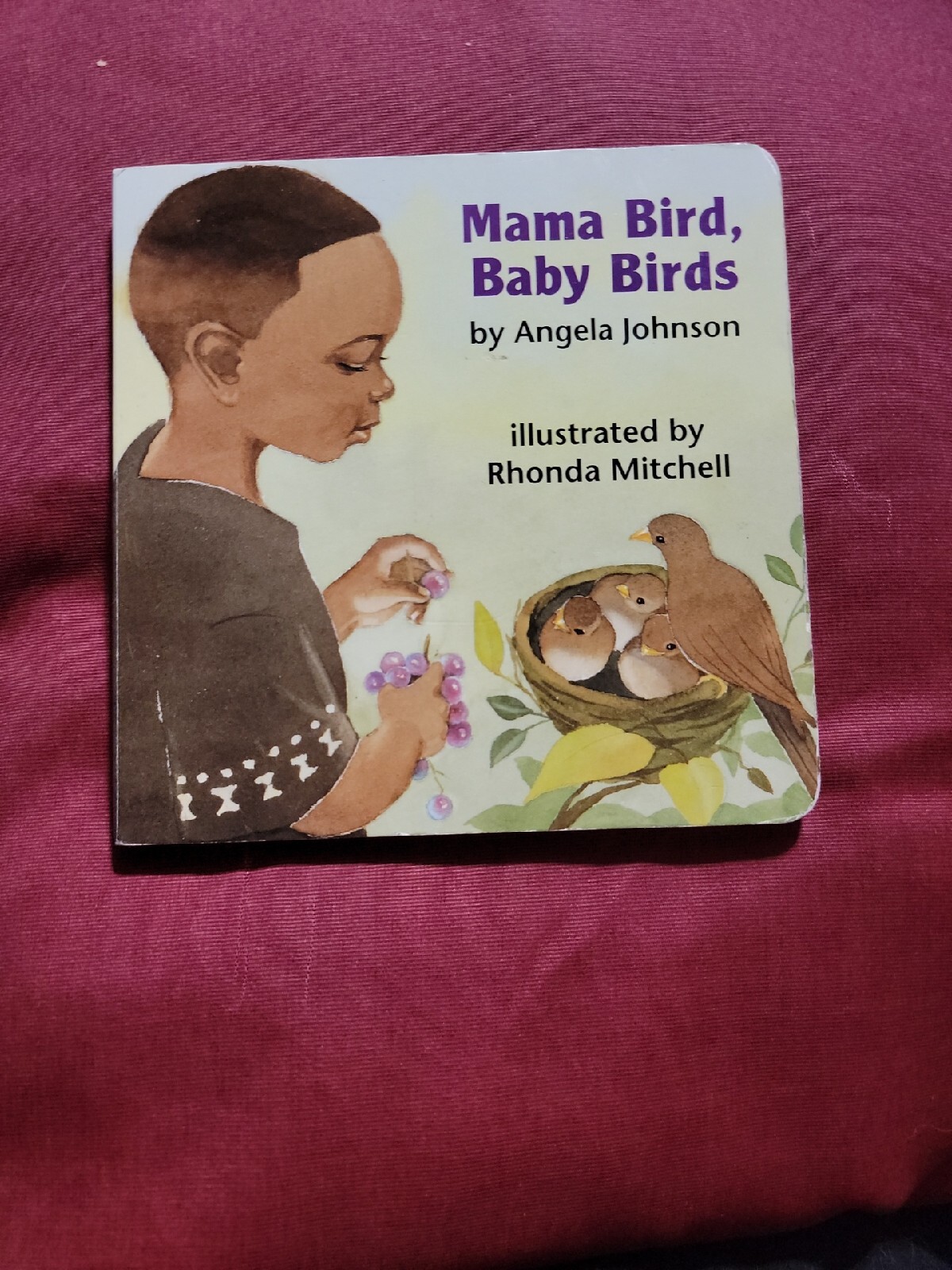 Joshua by the Sea by Angela Johnson (1994, Children’s Board Books)