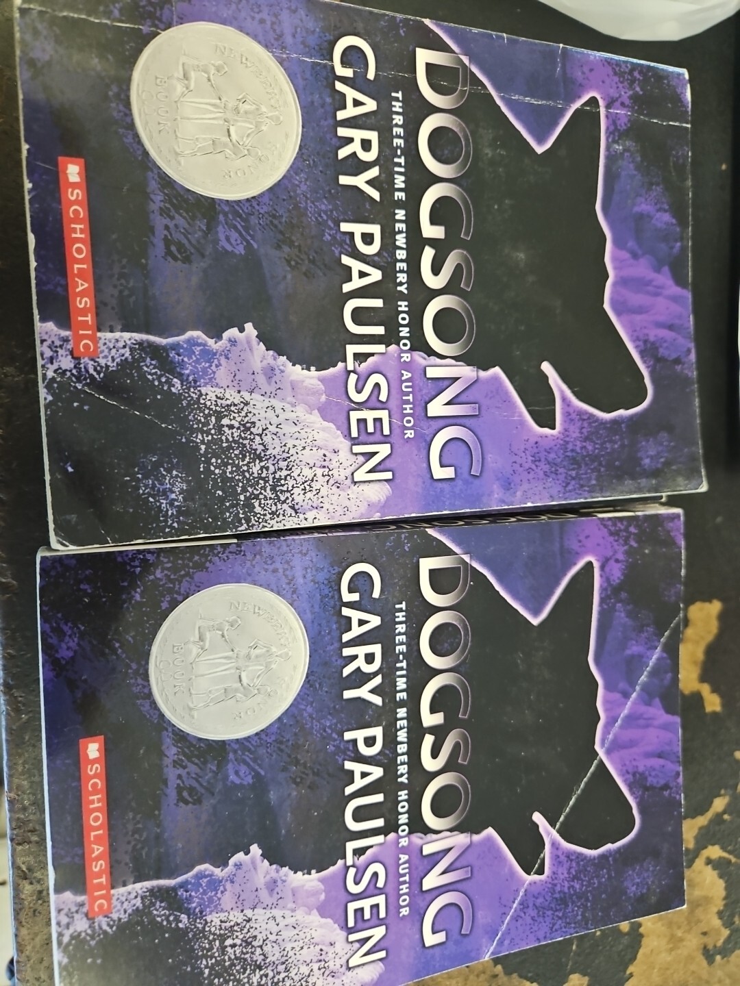 8 Copies Of Dogsong Paperback By Paulsen, Gary GOOD Daycare School Book Clubs