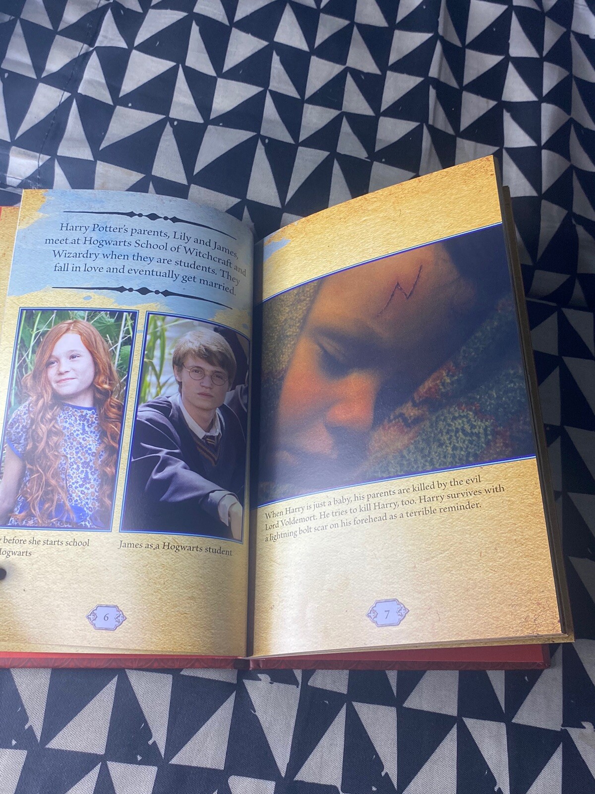 Harry Potter Cinematic Guide Hardcover Scholastic Baker, Felicity