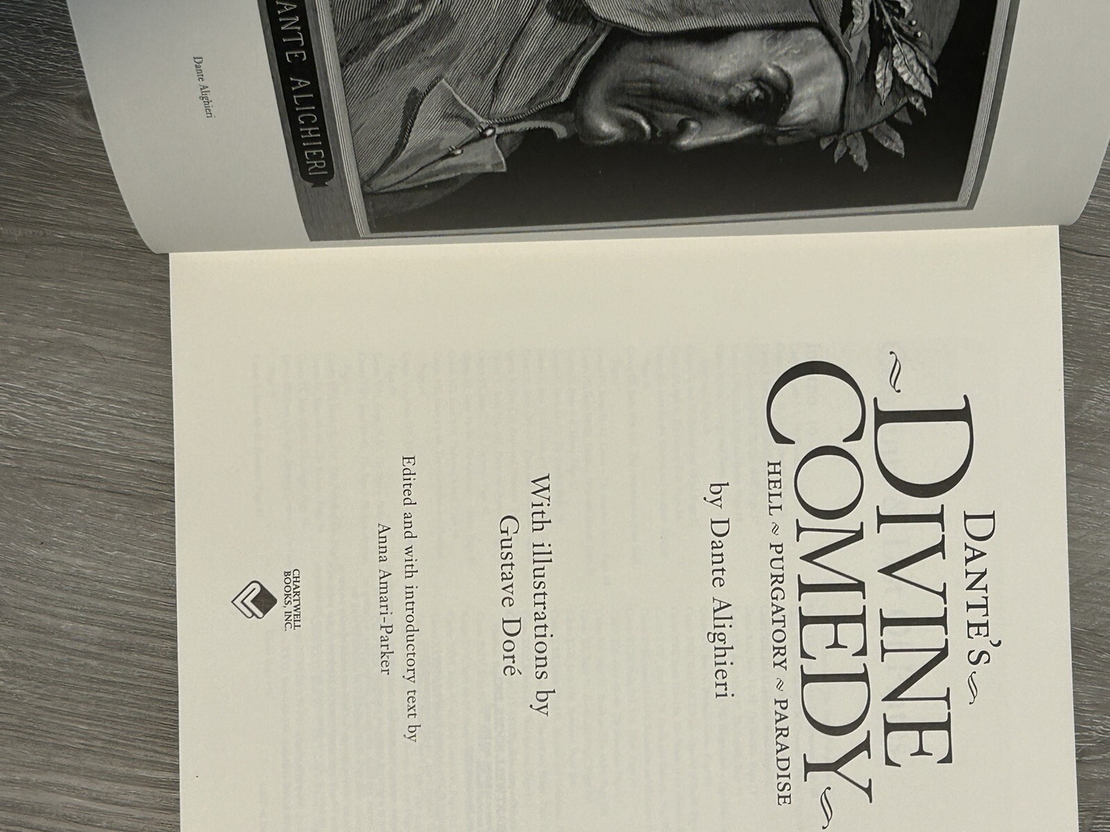 Divine Comedy by Dante Alighieri 2008 Gustave Dore illustrations
