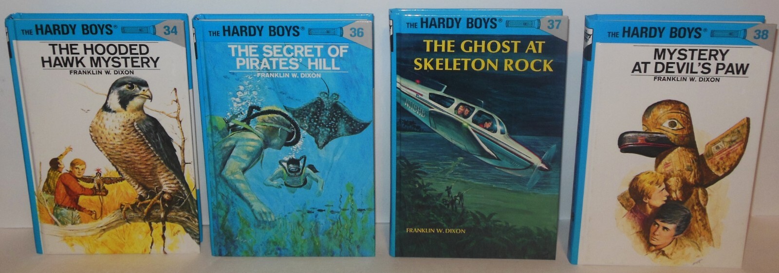 The Hardy Boys: (31) Franklin W. Dixon Flashlight Hardcover books FREE SHIPPING