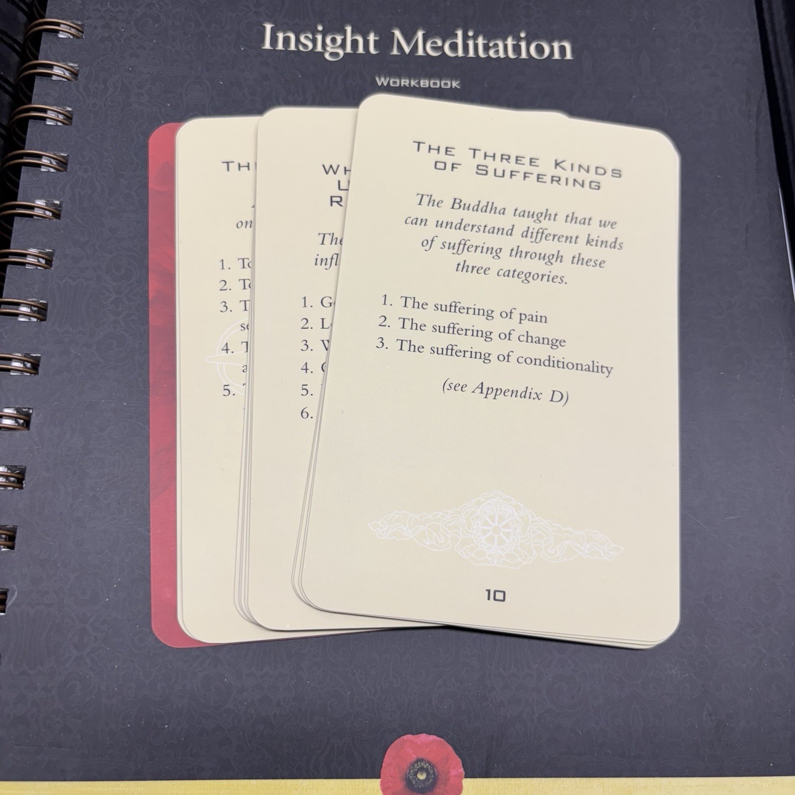 Insight Meditation by Joseph Goldstein & Sharon Salzberg Step By Step Course
