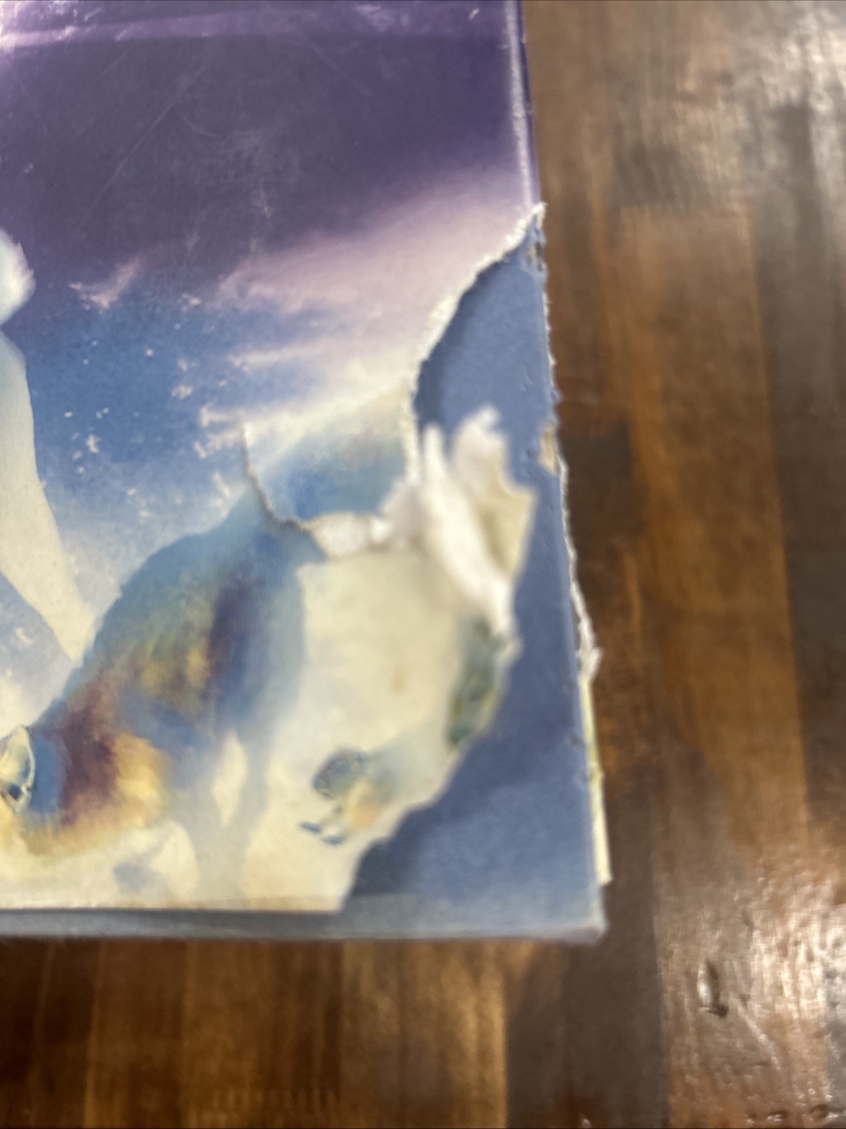 Dreamcatcher by Stephen King Hard Cover Dust Jacket