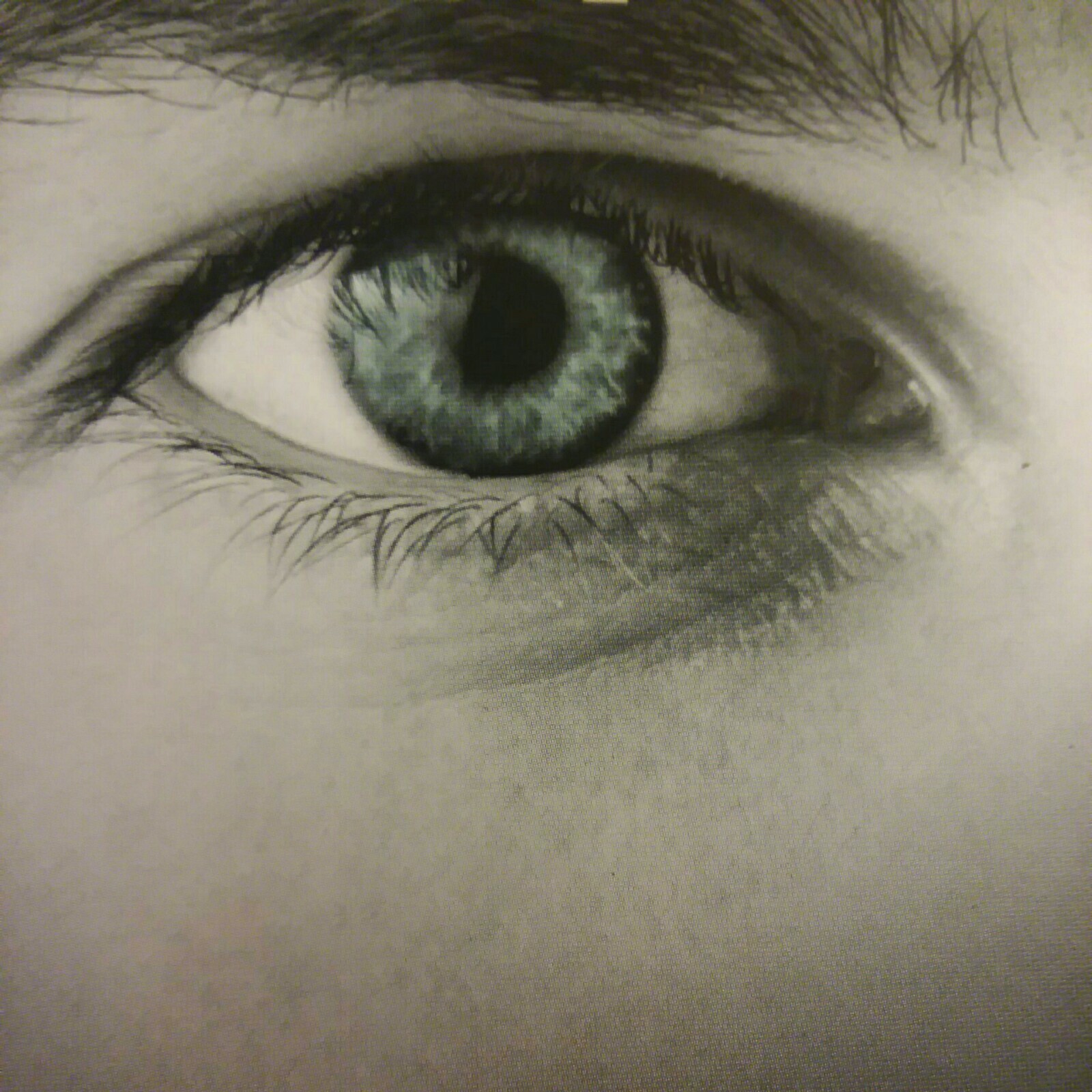 Fifty Shades of Grey Through eyes of Christian Grey 20 Hours 16 Compact Discs