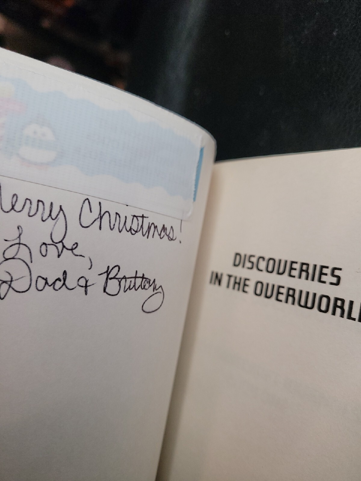 Discoveries in the Overworld: Lost Minecraft Journals, Book One by Winter Morgan