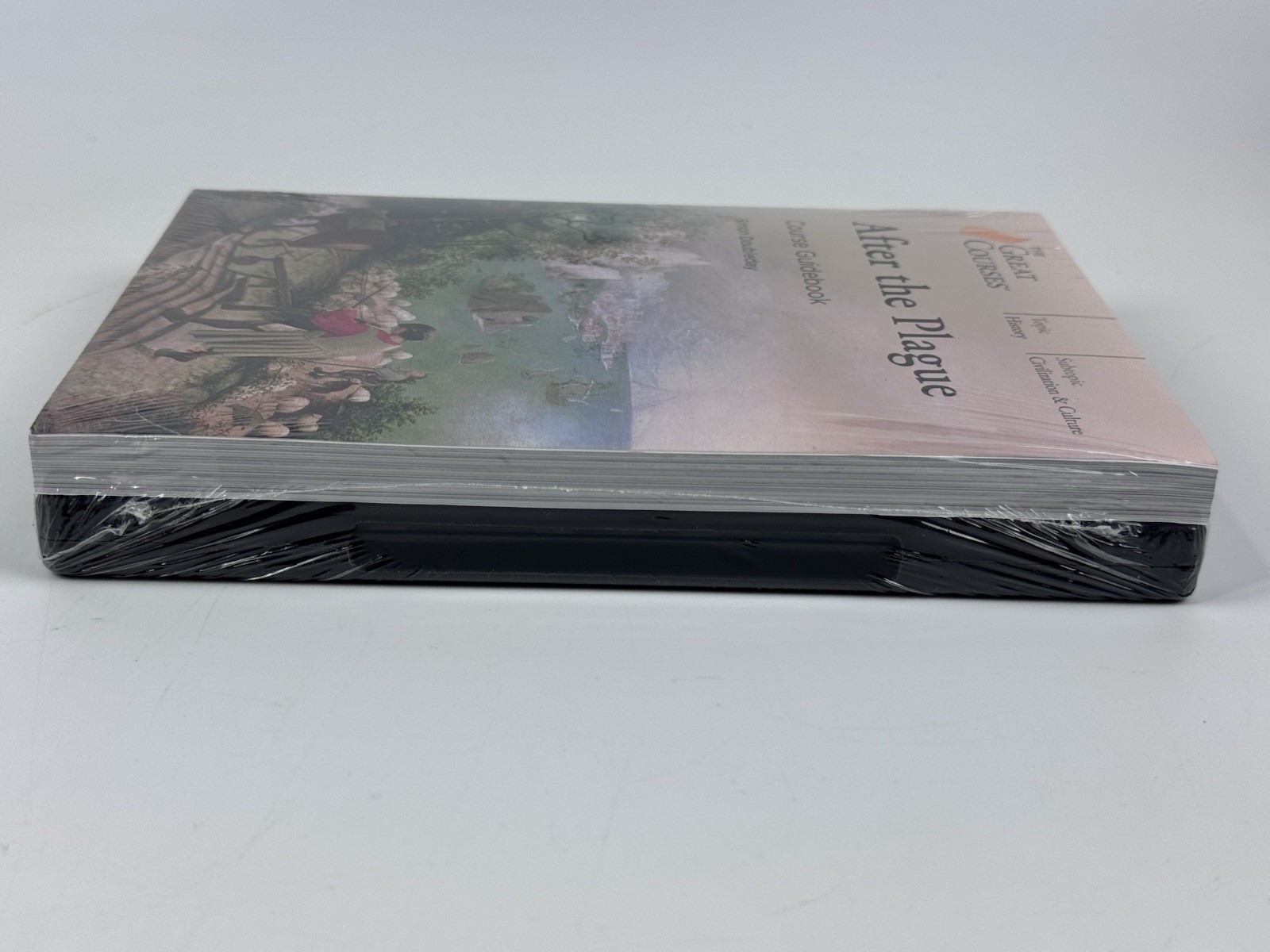 The Great Courses After the Plague DVDs & Course Guidebook New Sealed
