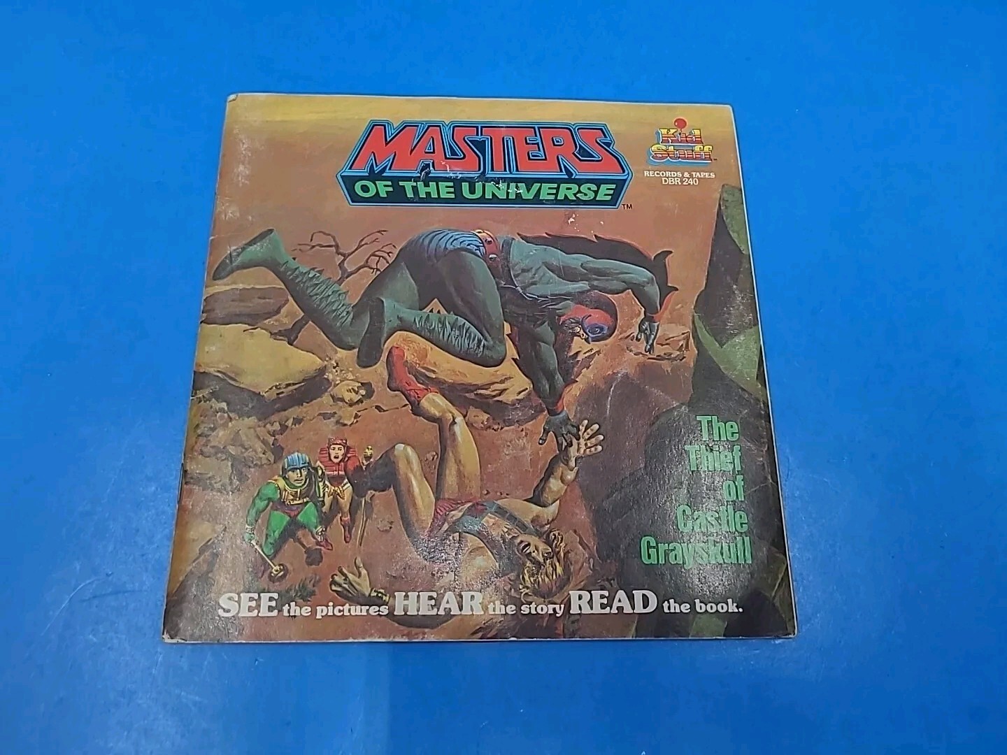 VINTAGE Masters of The Universe The Thief Of Castle Grayskull Viynl and Book