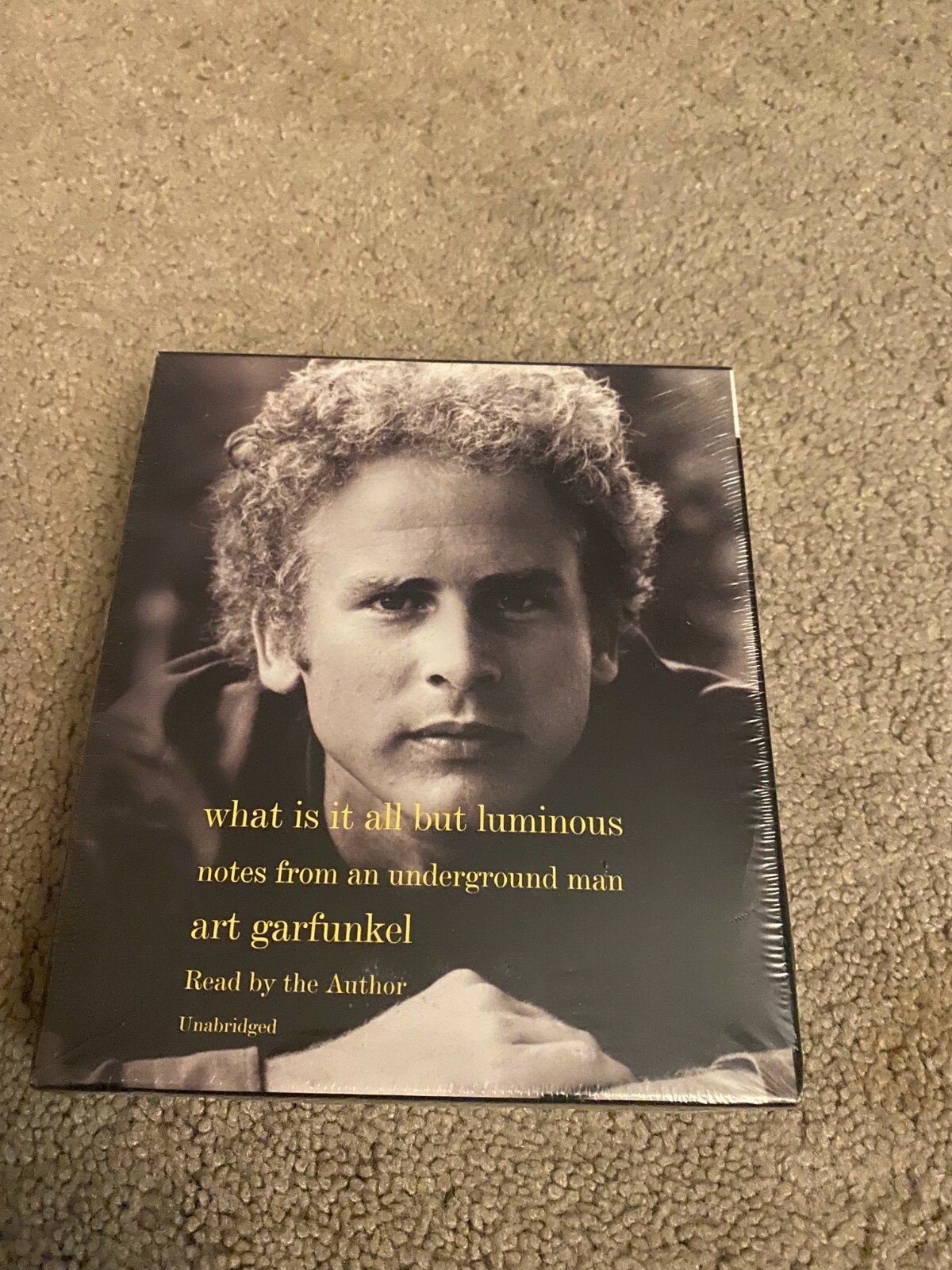 What Is It All but Luminous Notes from an Underground Man Art Garfunkel CD NEW