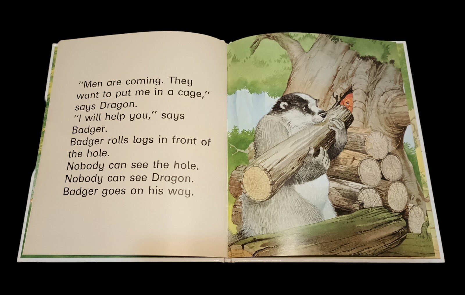 Dragons Hiding Place Book Read Yourself Lucy Kincaid LARGE TYPE Brimax 1994 UK