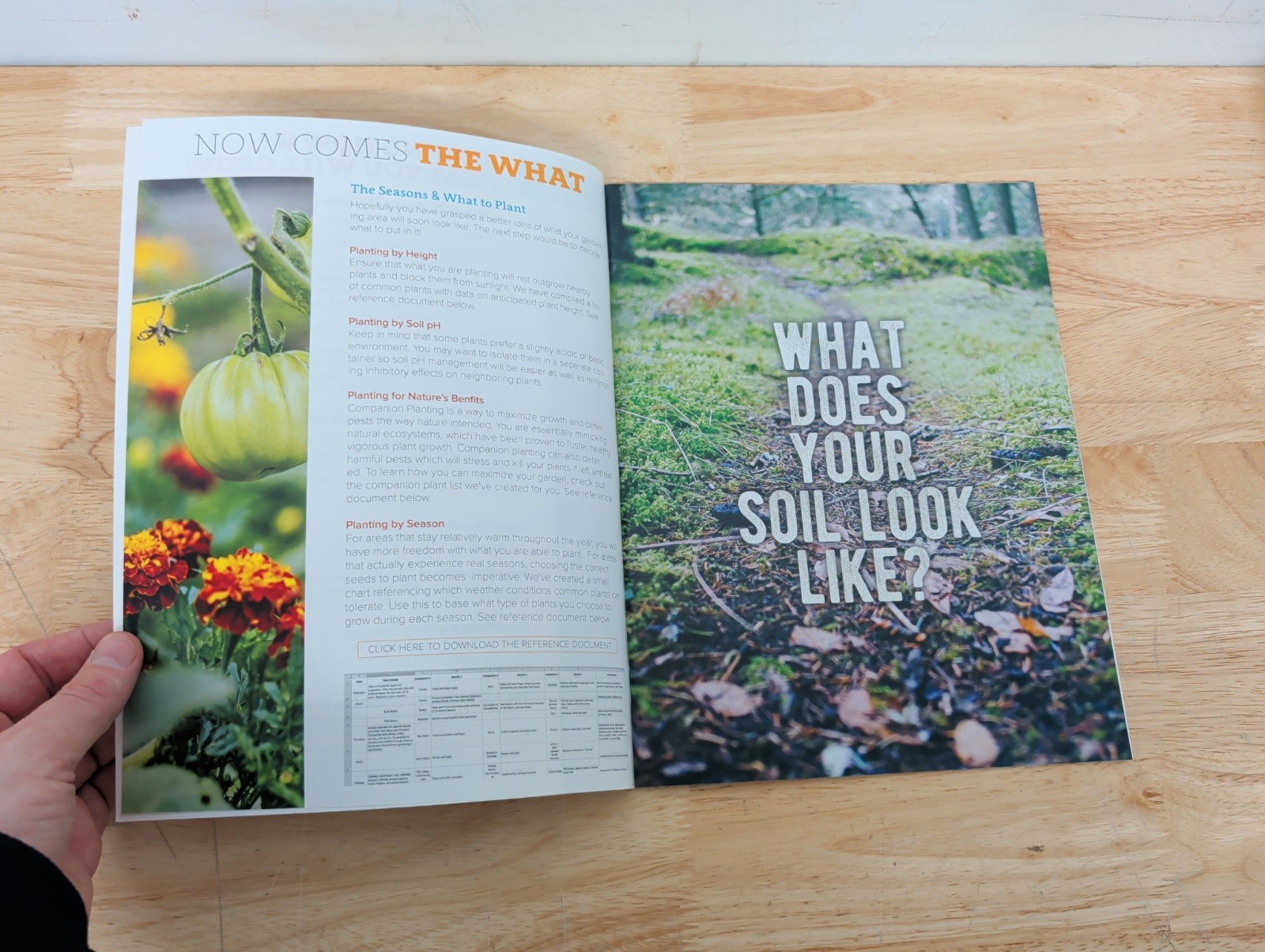 Interconnected 10 Disc CD Set Companion Guide Action Plan Gardening Home Guides