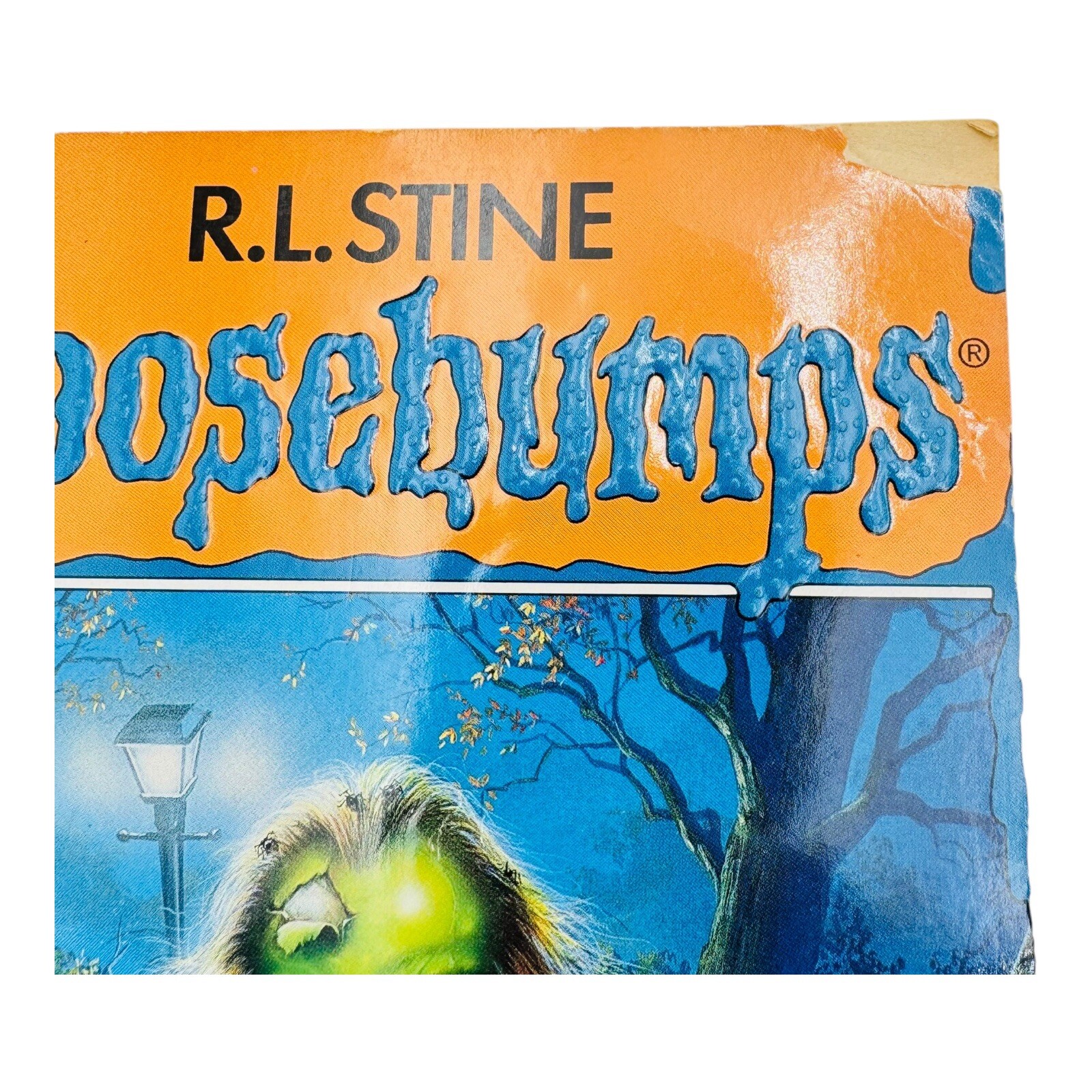 GooseBumps The Haunted Mask & The Haunted Mask 2 R.L. Stine Set