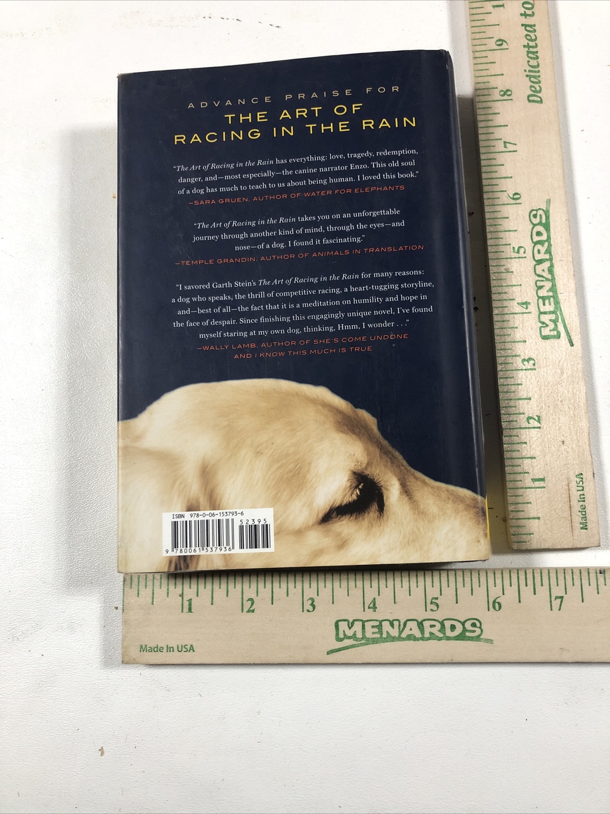 The Art of Racing in the Rain — Garth Stein (2008, Hardcover, Dust Jacket)