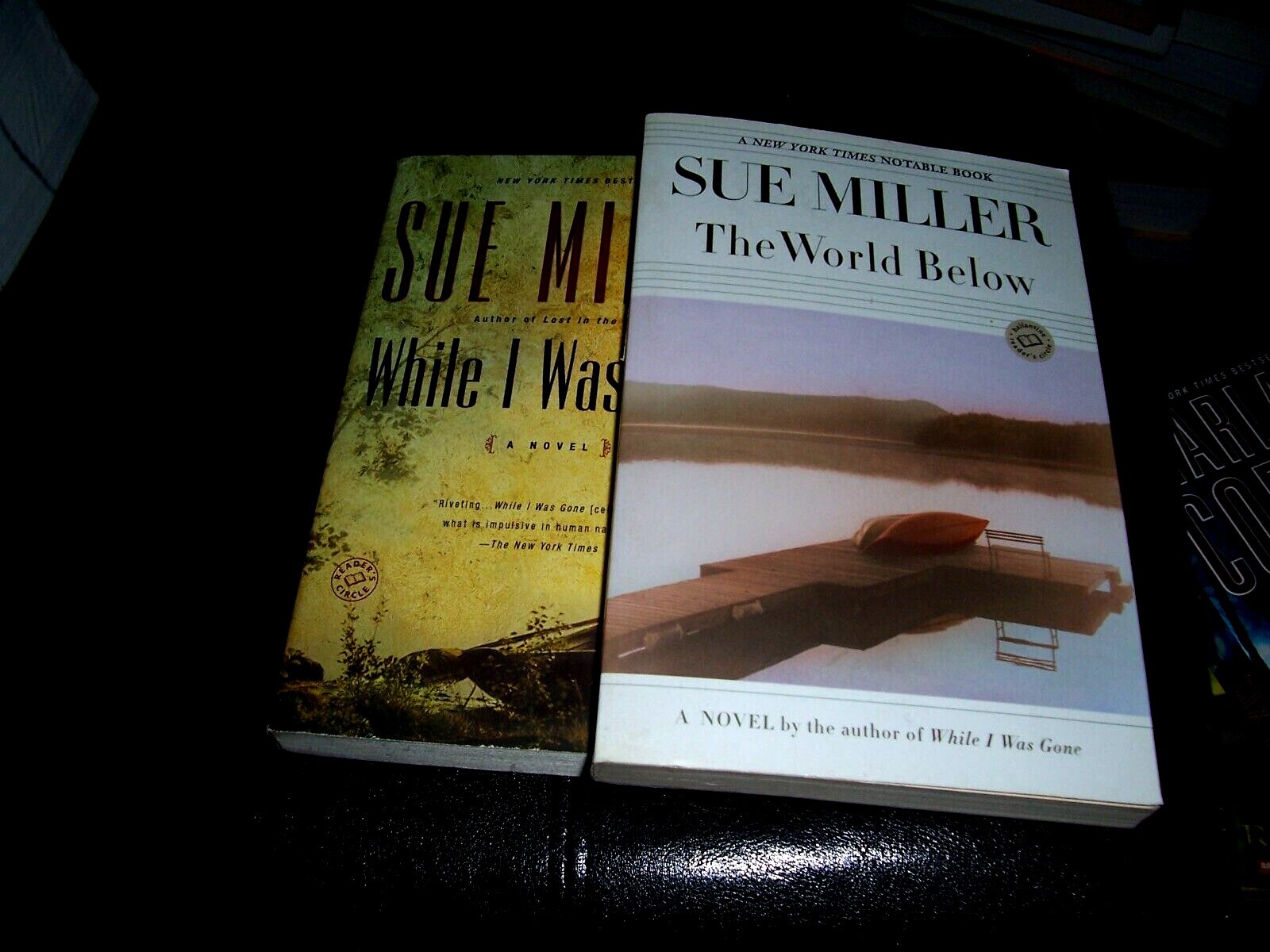 Lot 2 Novels by Sue Miller World Below 0345440765; I Was Gone 9780345443281