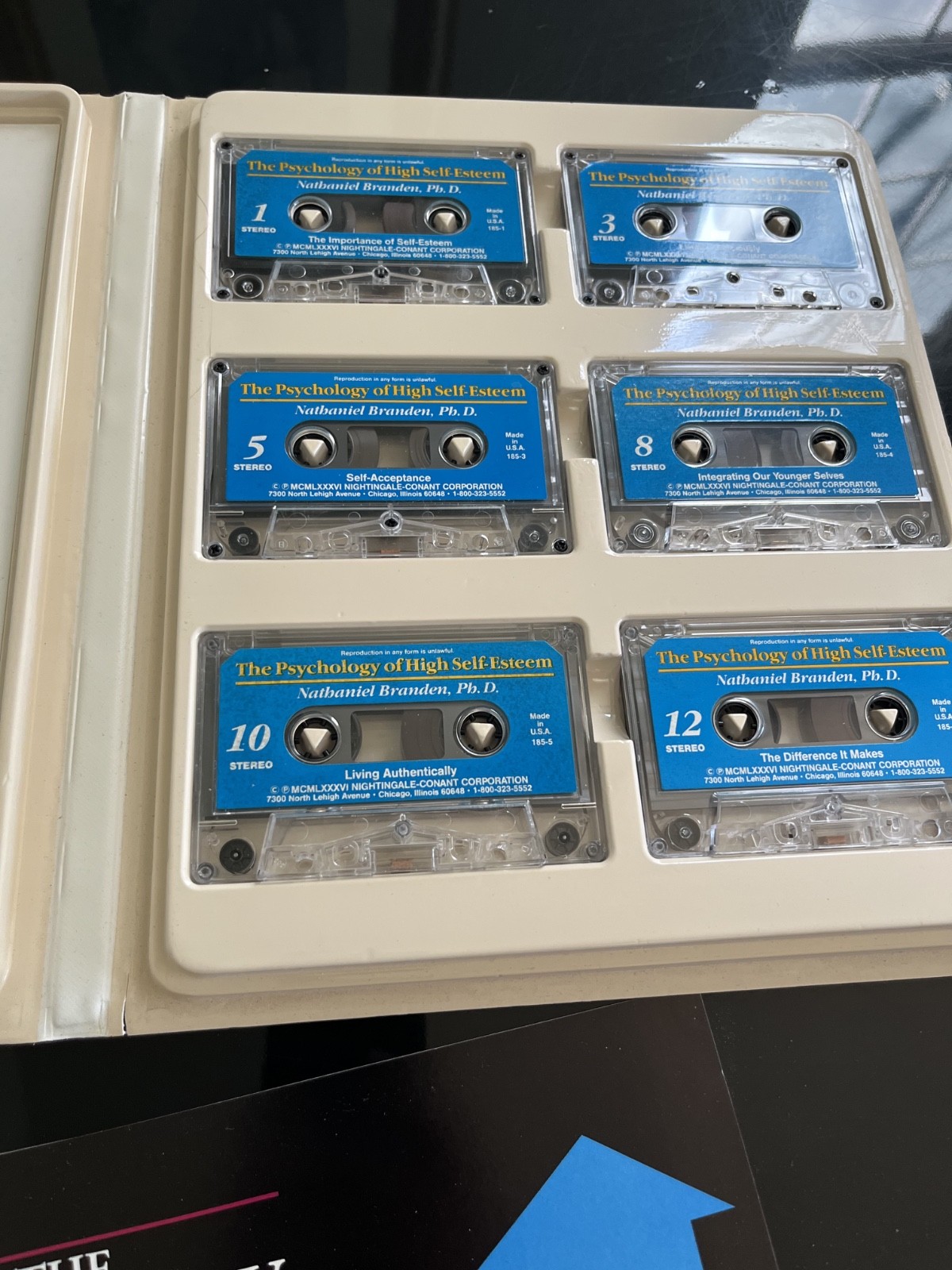 The Psychology of High Self-Esteem Nathaniel Branden 6 cassette Set w/ Insert