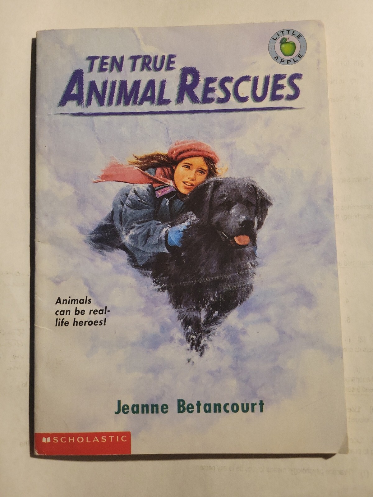 Ten True Animal Rescues