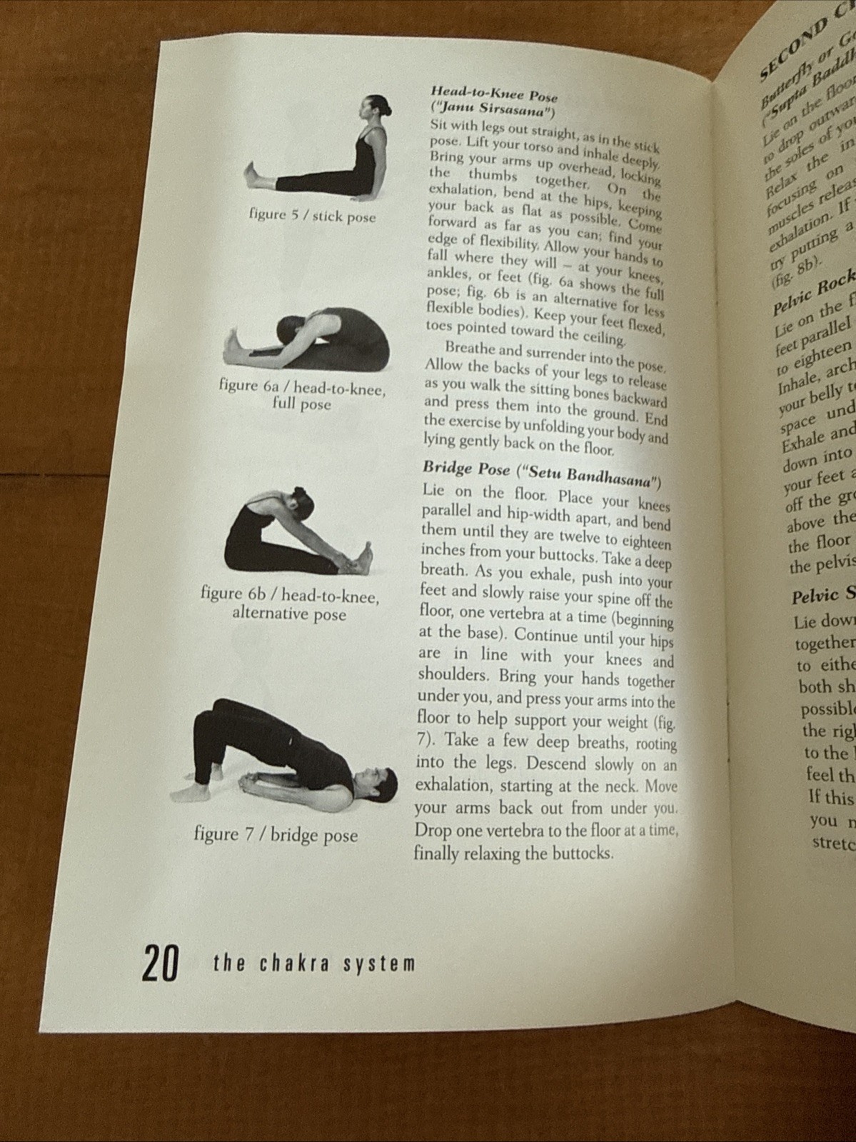 Chakra System : A Complete Course in Self-Diagnosis and Healing by Anodea Judith