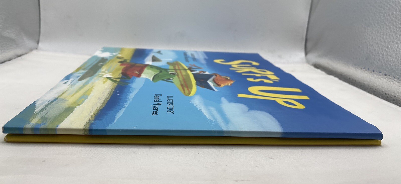 786 Surf’s Up Alexander, Kwame hardcover Used — Very Good SIGNED