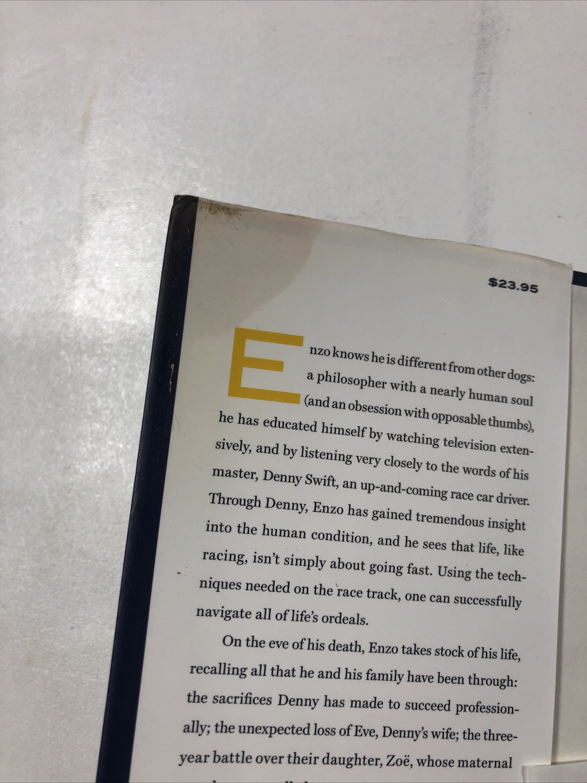 The Art of Racing in the Rain — Garth Stein (2008, Hardcover, Dust Jacket)