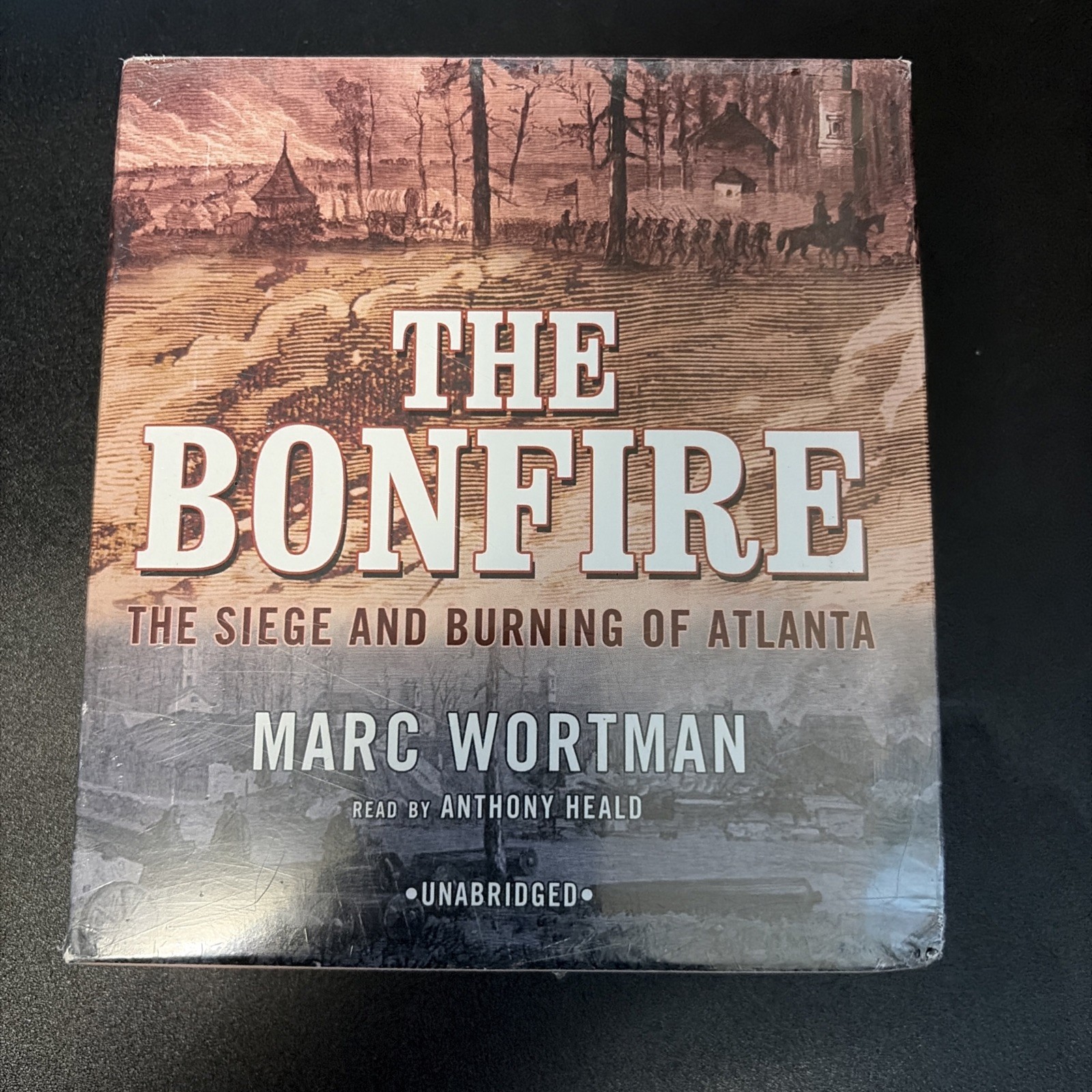 The Bonfire by Marc Wortman 2009 Unabridged CD 9781433279775