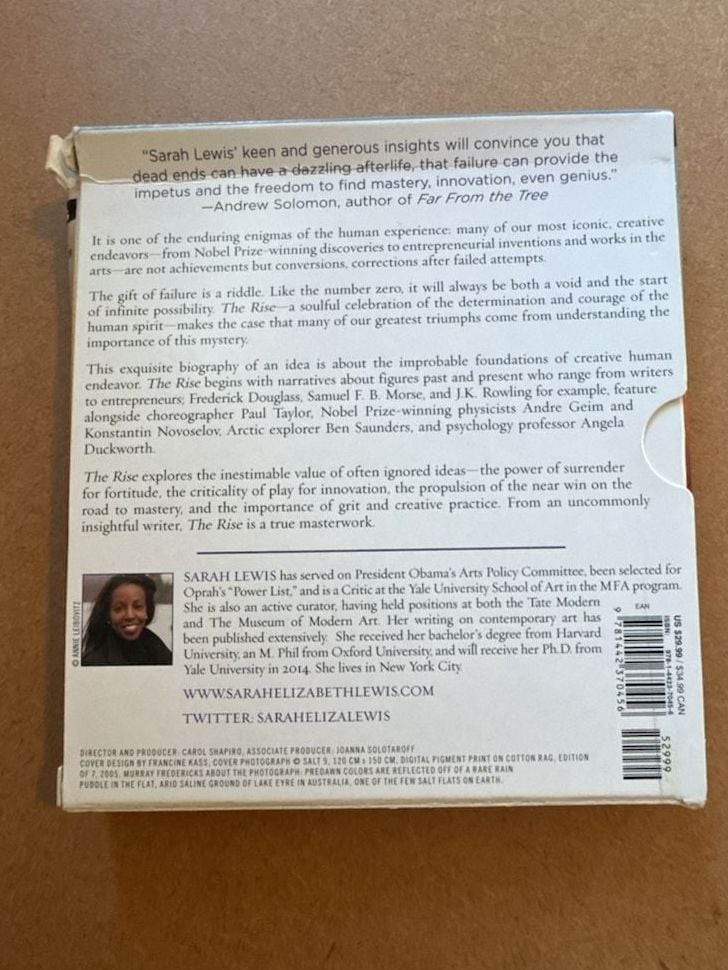 The Rise: Creativity, the Gift of Failure, and the Search for Mastery by Sarah L