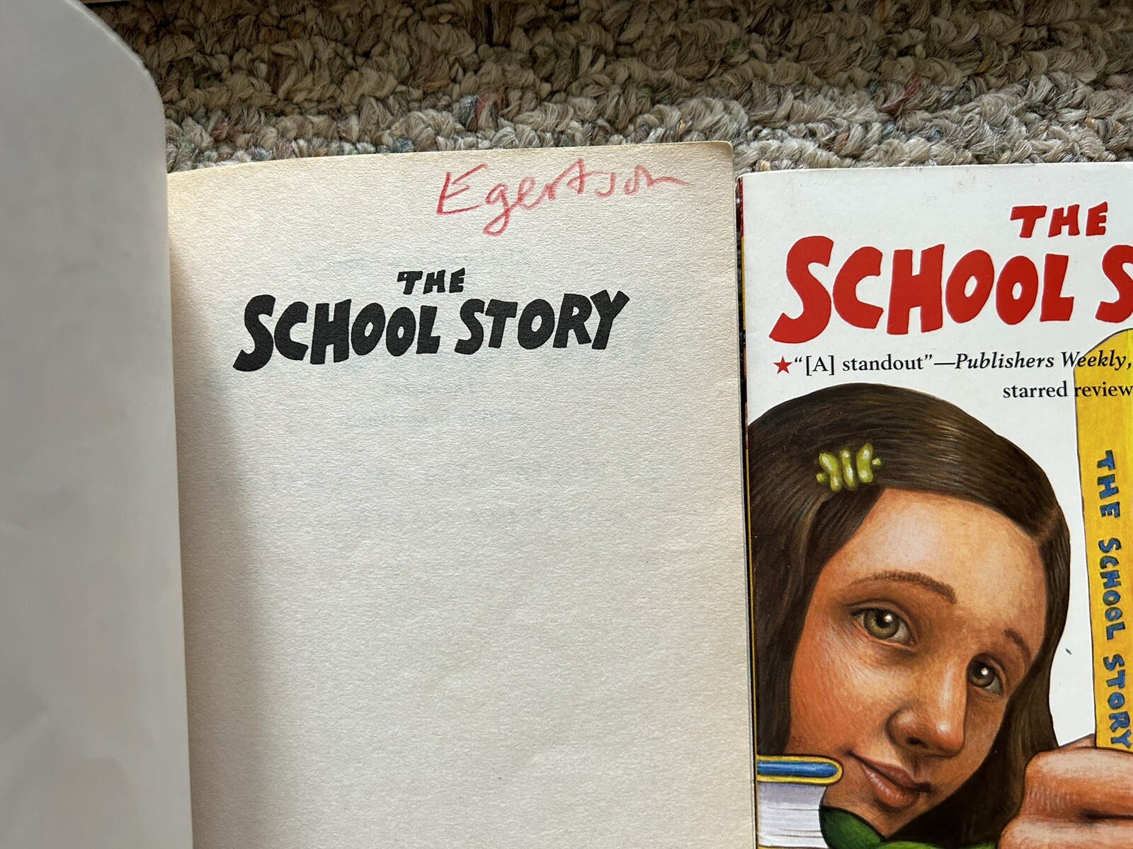 5 School Story Clements Guided Reading Literature Circle Classroom Teacher