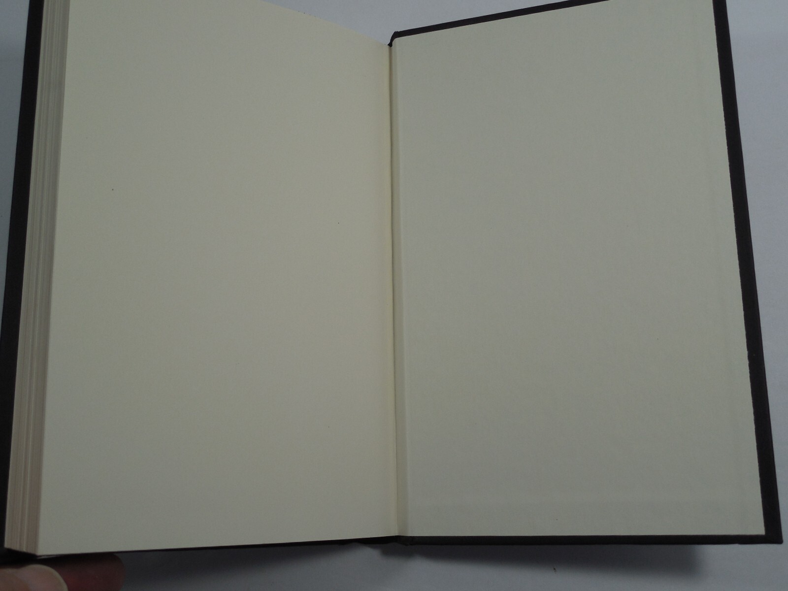 Jimi & Me by Jaime Adoff, 2005, 1st Edition, Signed (not Inscribed), Like New