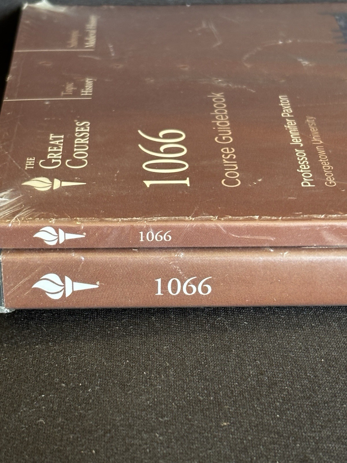 Great Courses 1066 Medieval History Sealed Audio CD Course & Guidebook New 2012