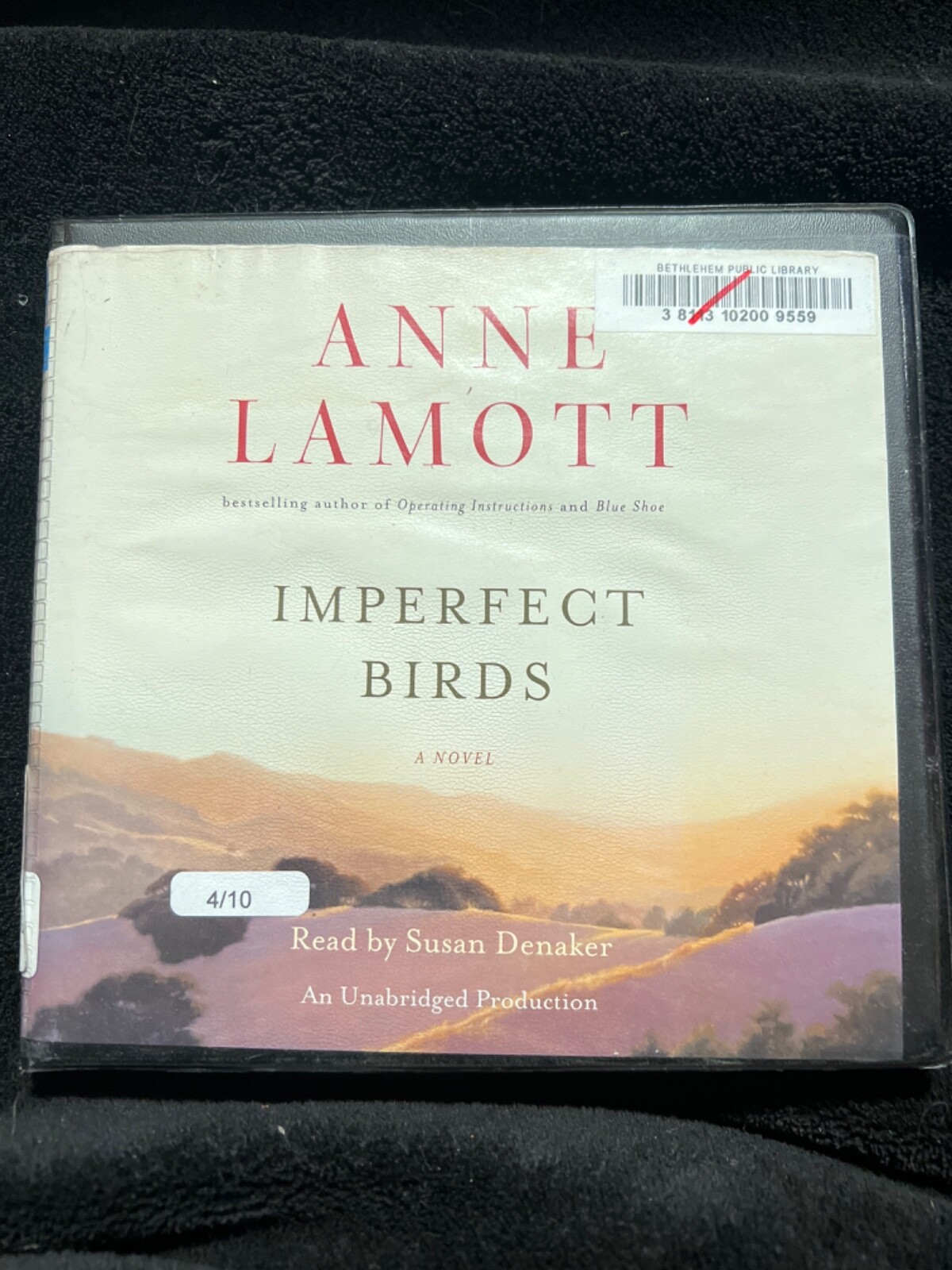 Shelf213 Audiobook~Imperfect Birds — Anne Lamott — Unabridged — 9 Discs