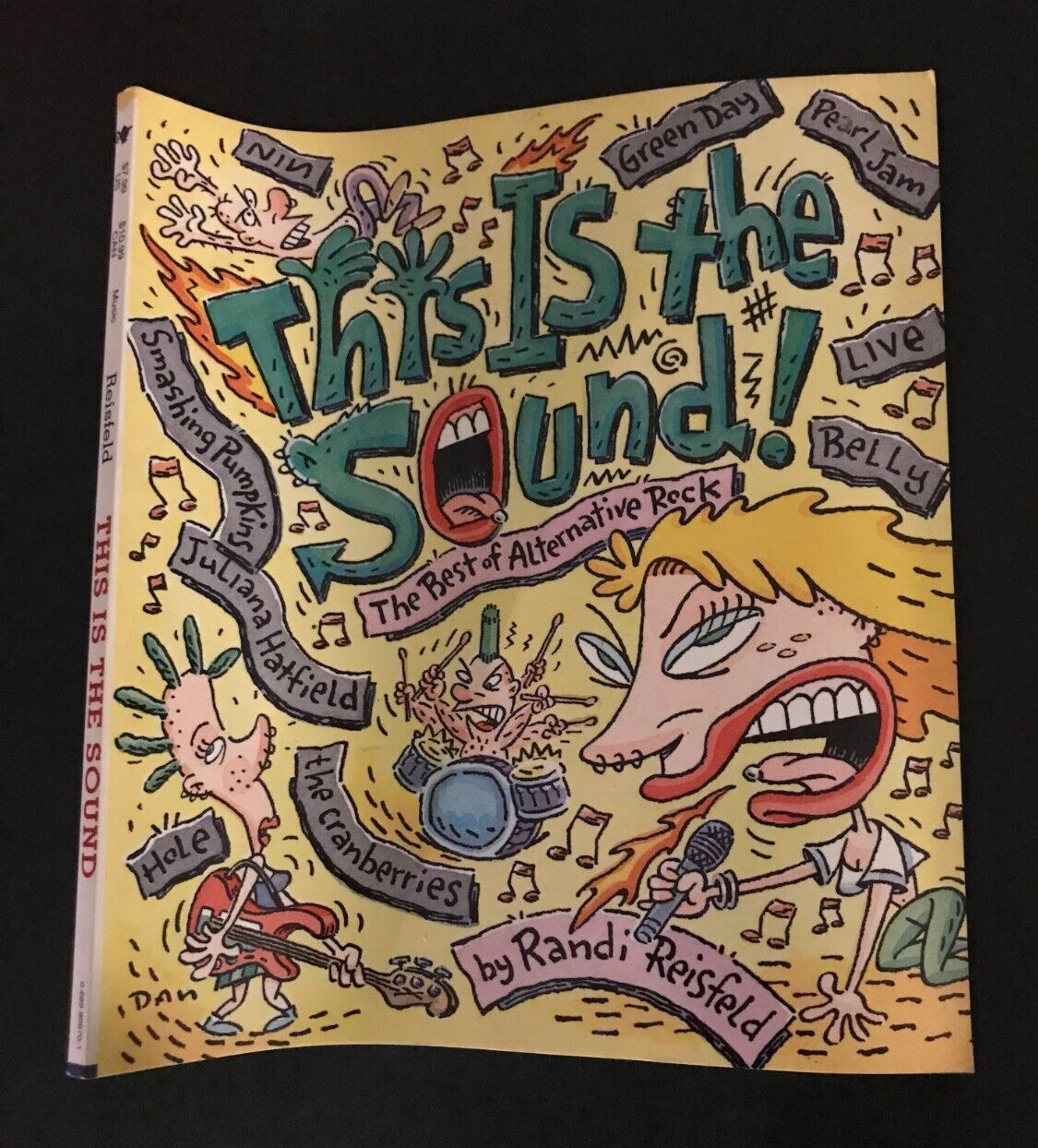 This is the Sound: The Best of Alternative Rock Paperback Book by Randi Reisfeld