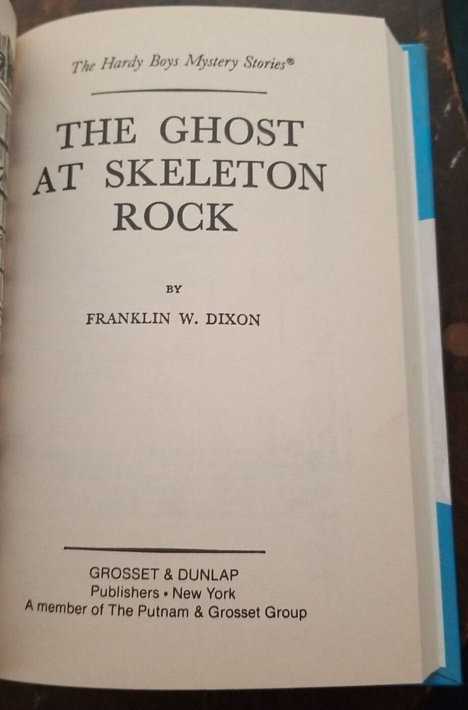 The Ghost at Skeleton Rock (Hardy Boys, #37) — Hardcover — Franklin Dixon 1994